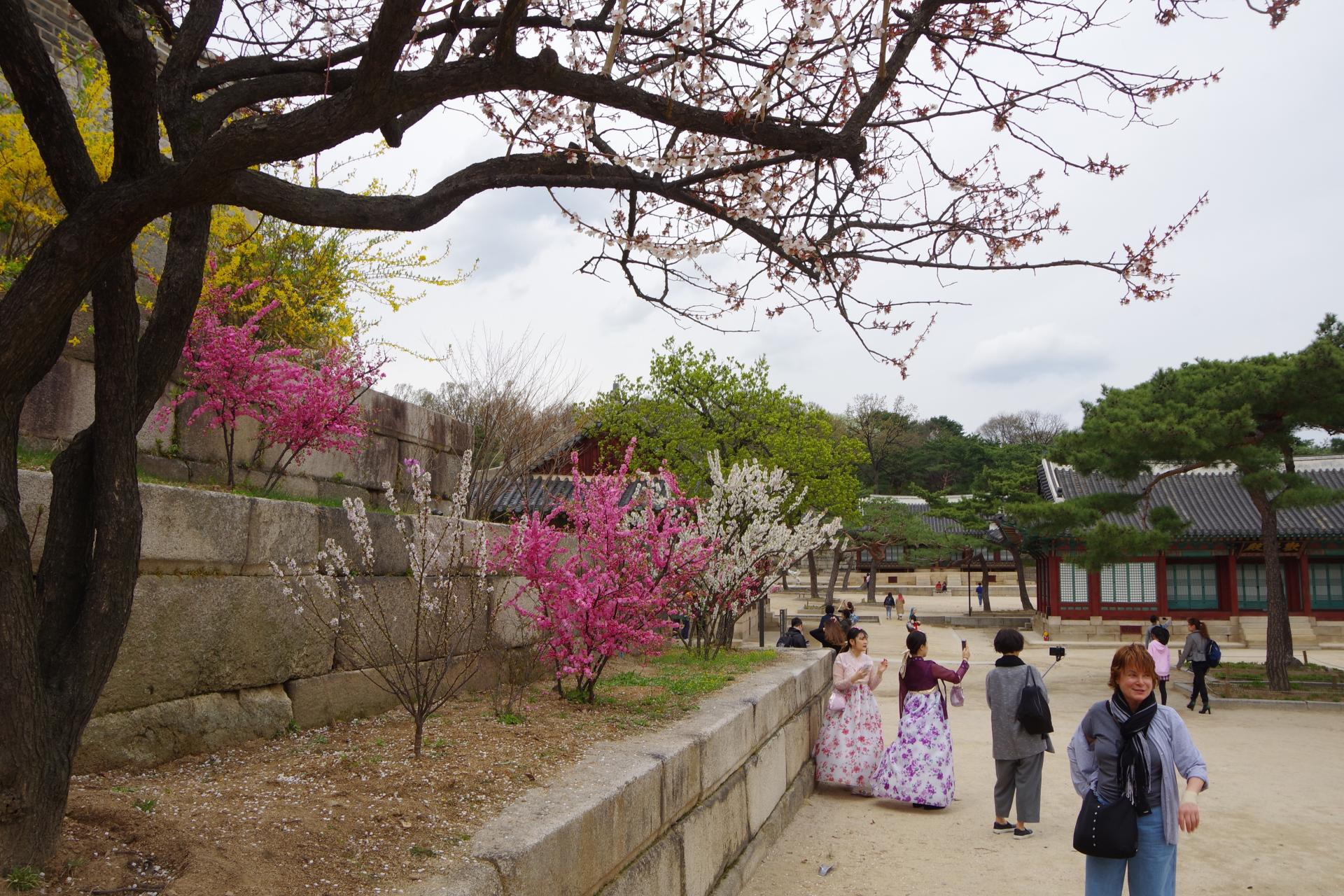 Changdeokung palace seoul