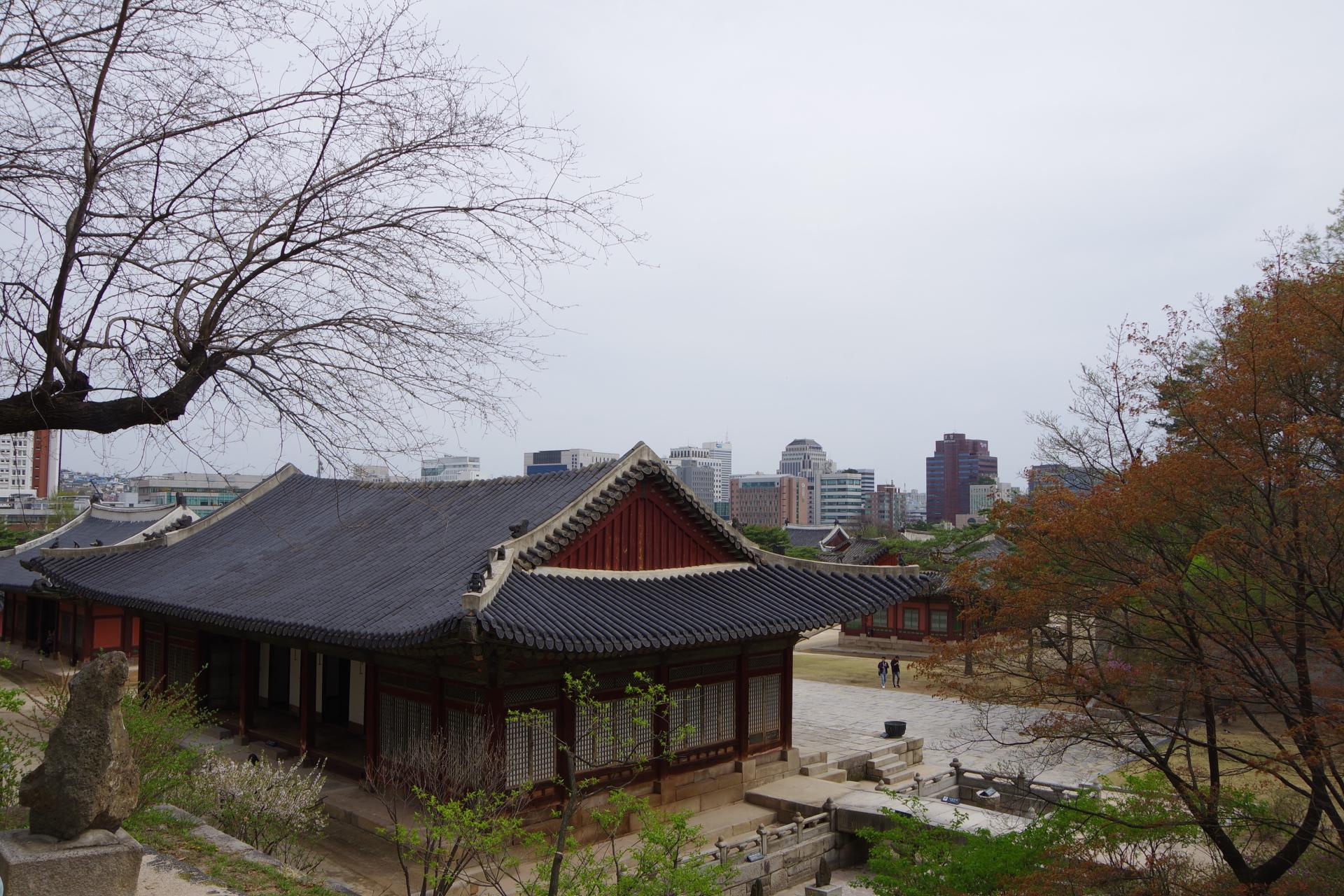 Changdeokung palace seoul