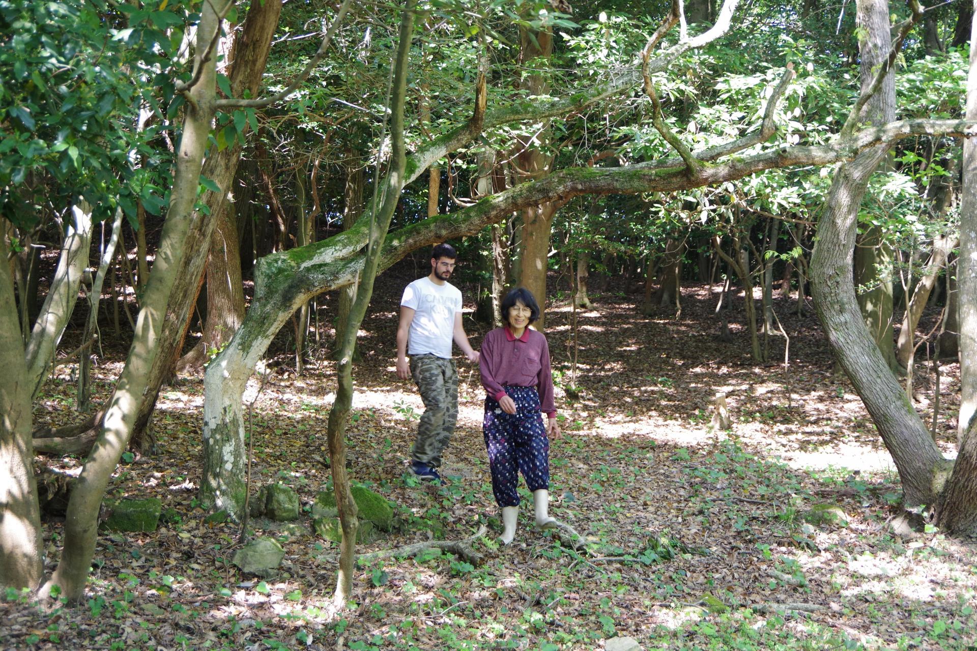 Kamiyamada walk
