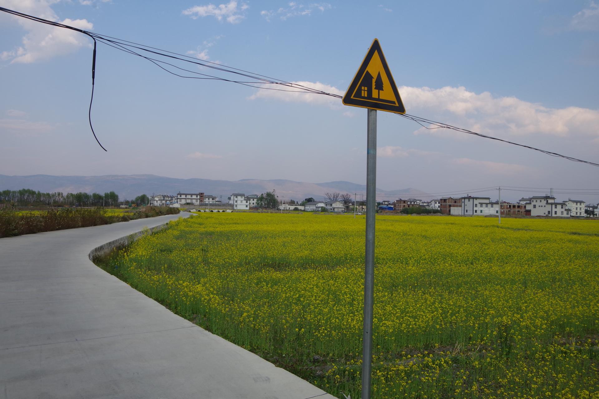 Dali fields