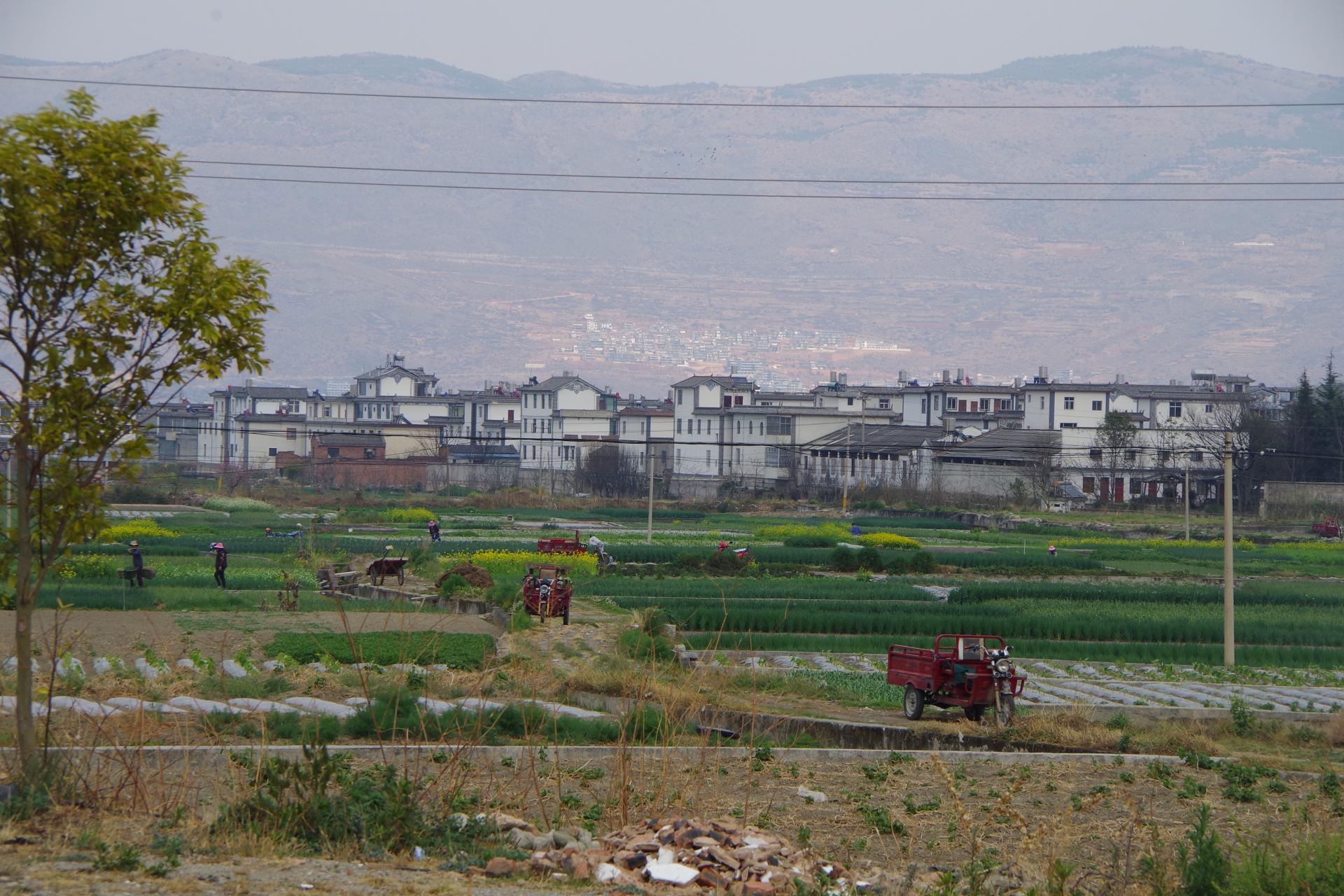 Dali villages