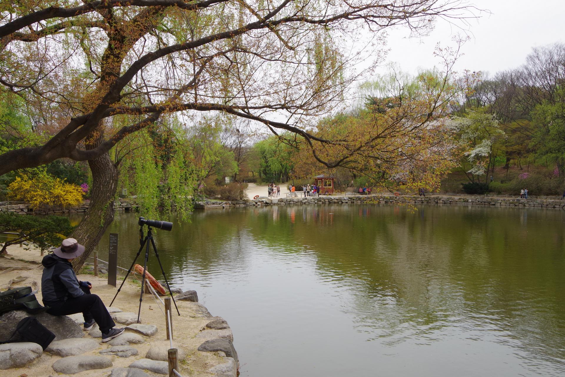 Changdeokung palace seoul