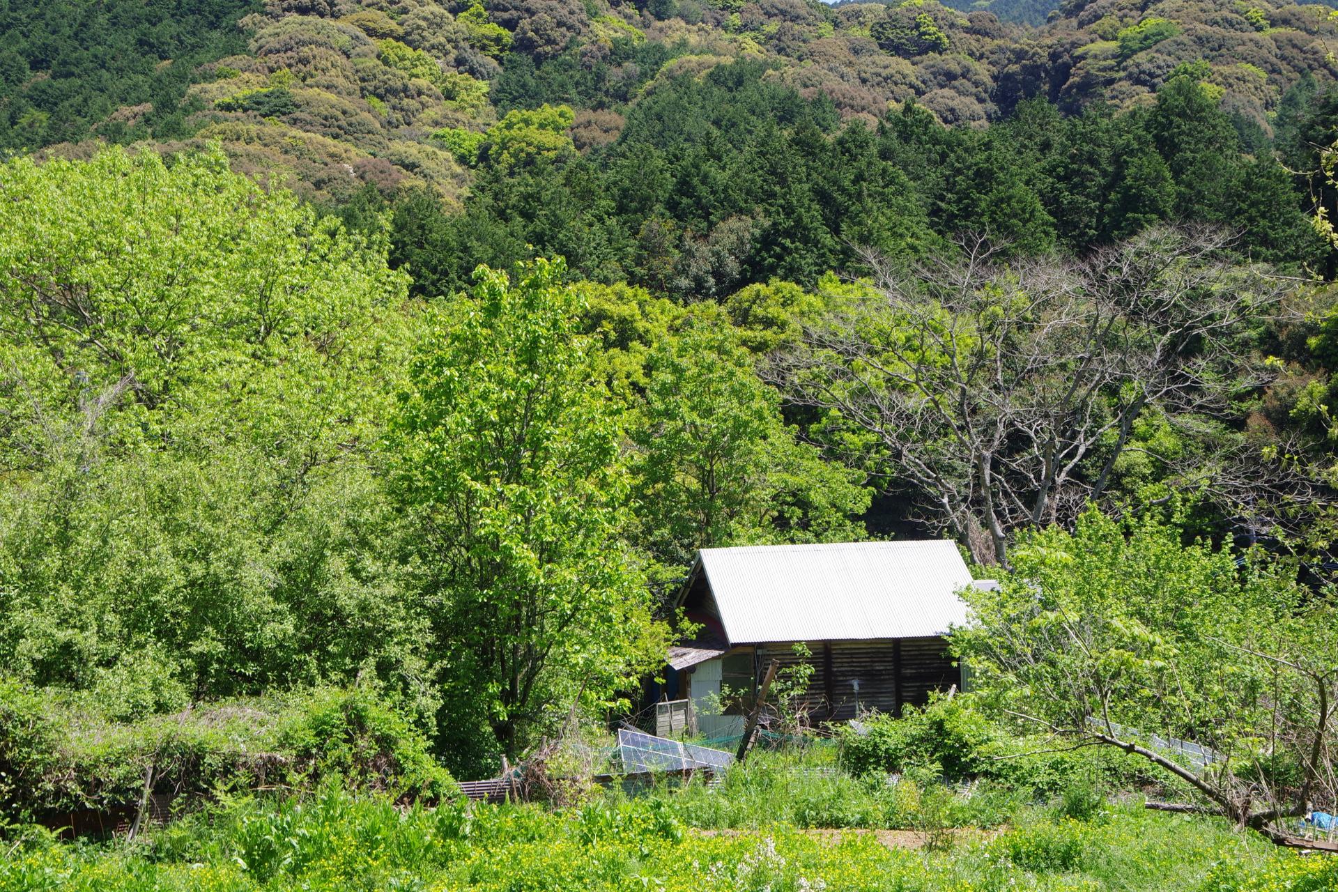 Kamiyamada farm
