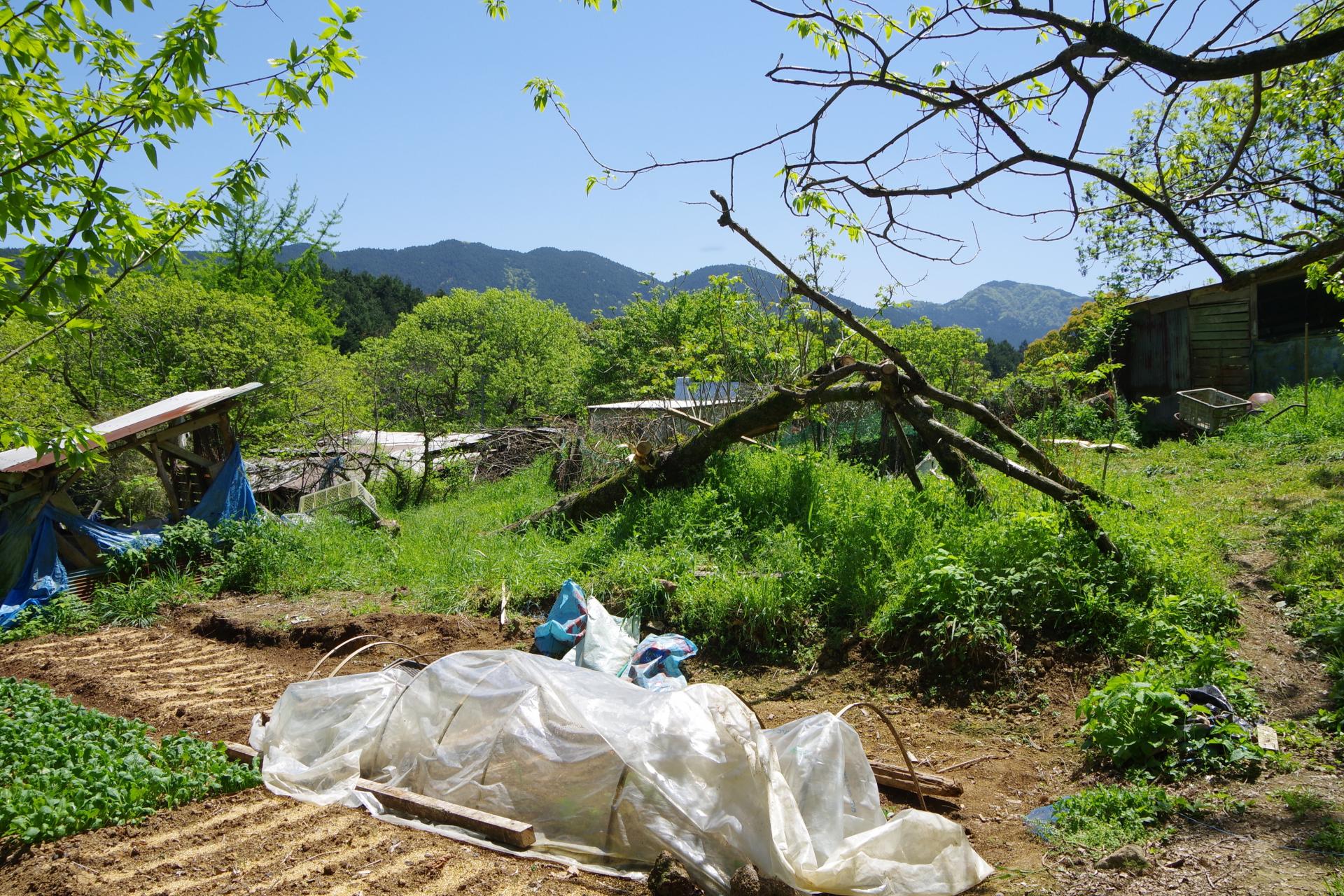 Kamiyamada farm