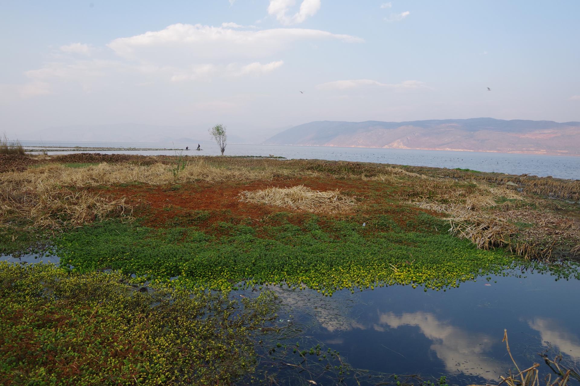 Dali Erhai
