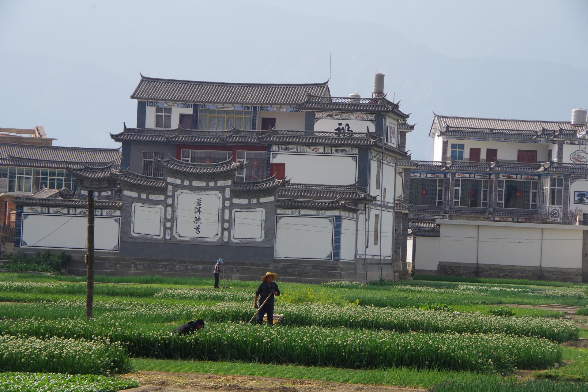 Dali villages