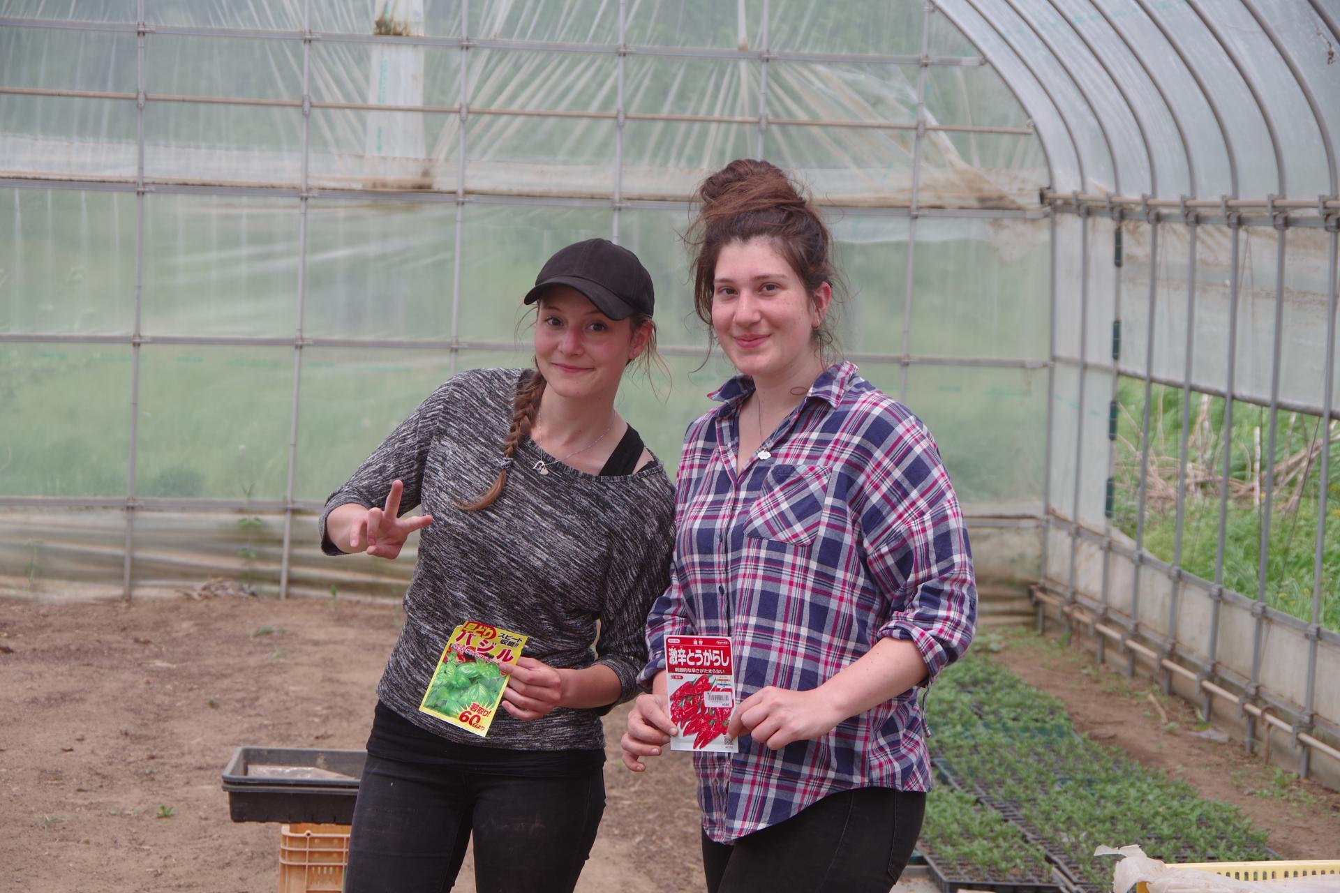 greenhouse french volunteer