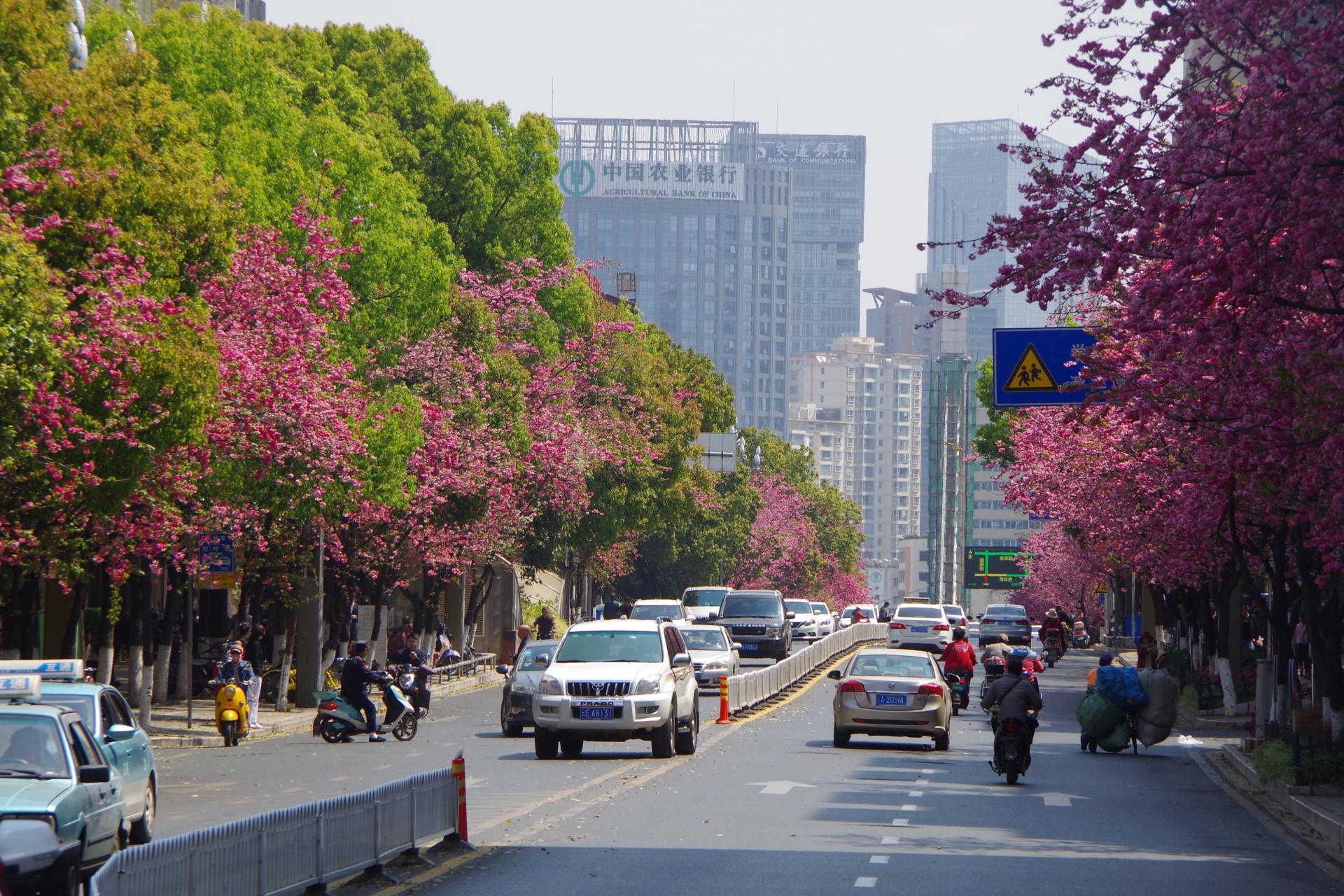 Kunming
