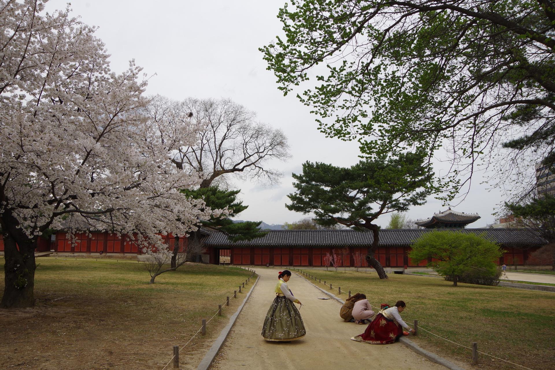Changdeokung palace seoul
