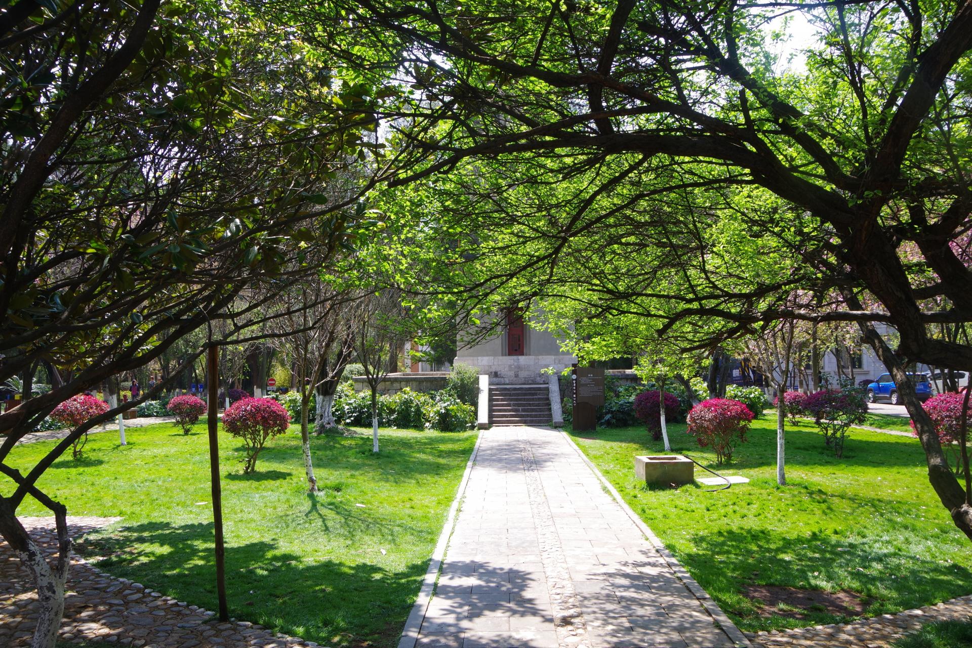 Kunming yunnan university