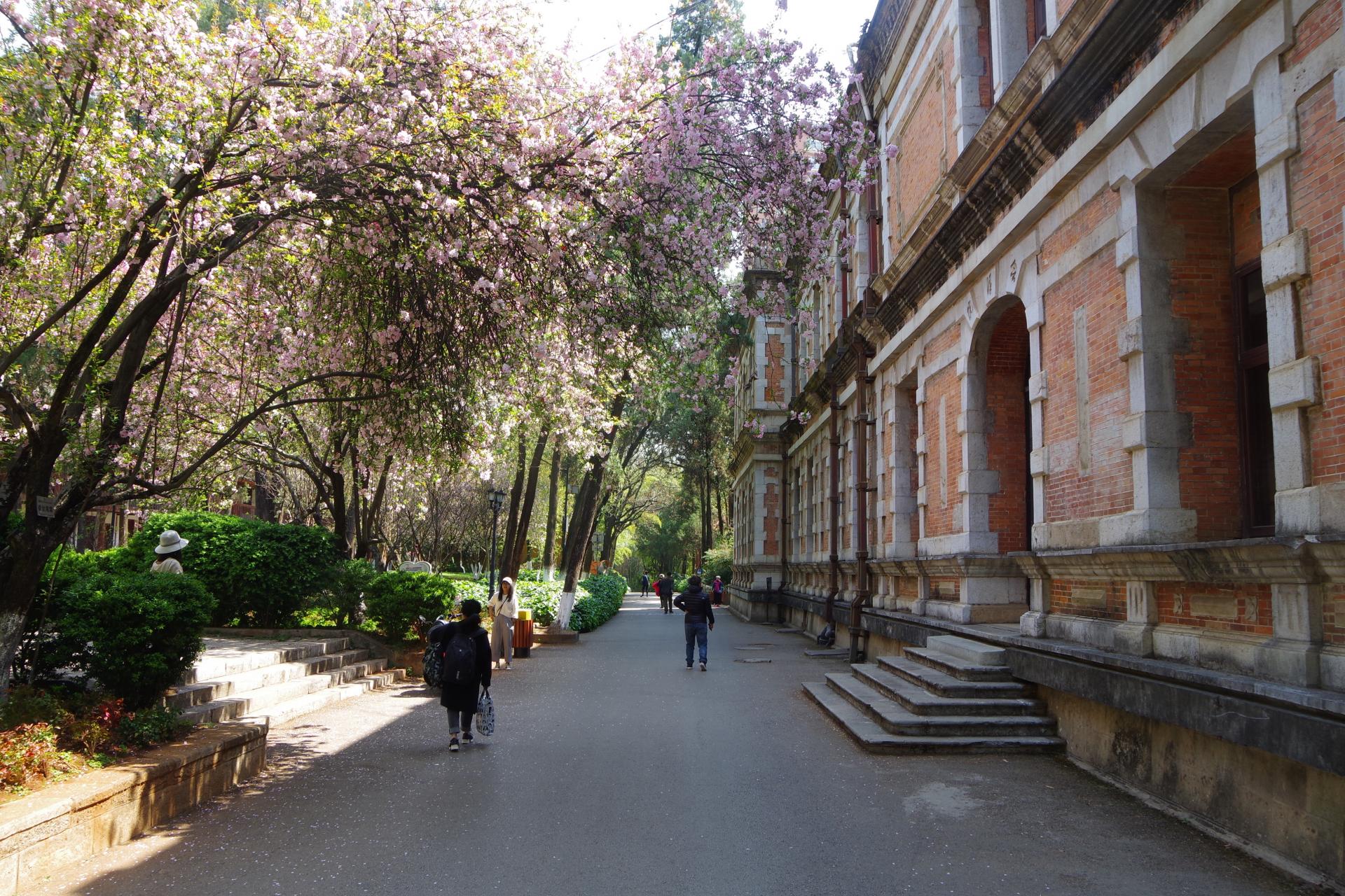 Kunming yunnan university