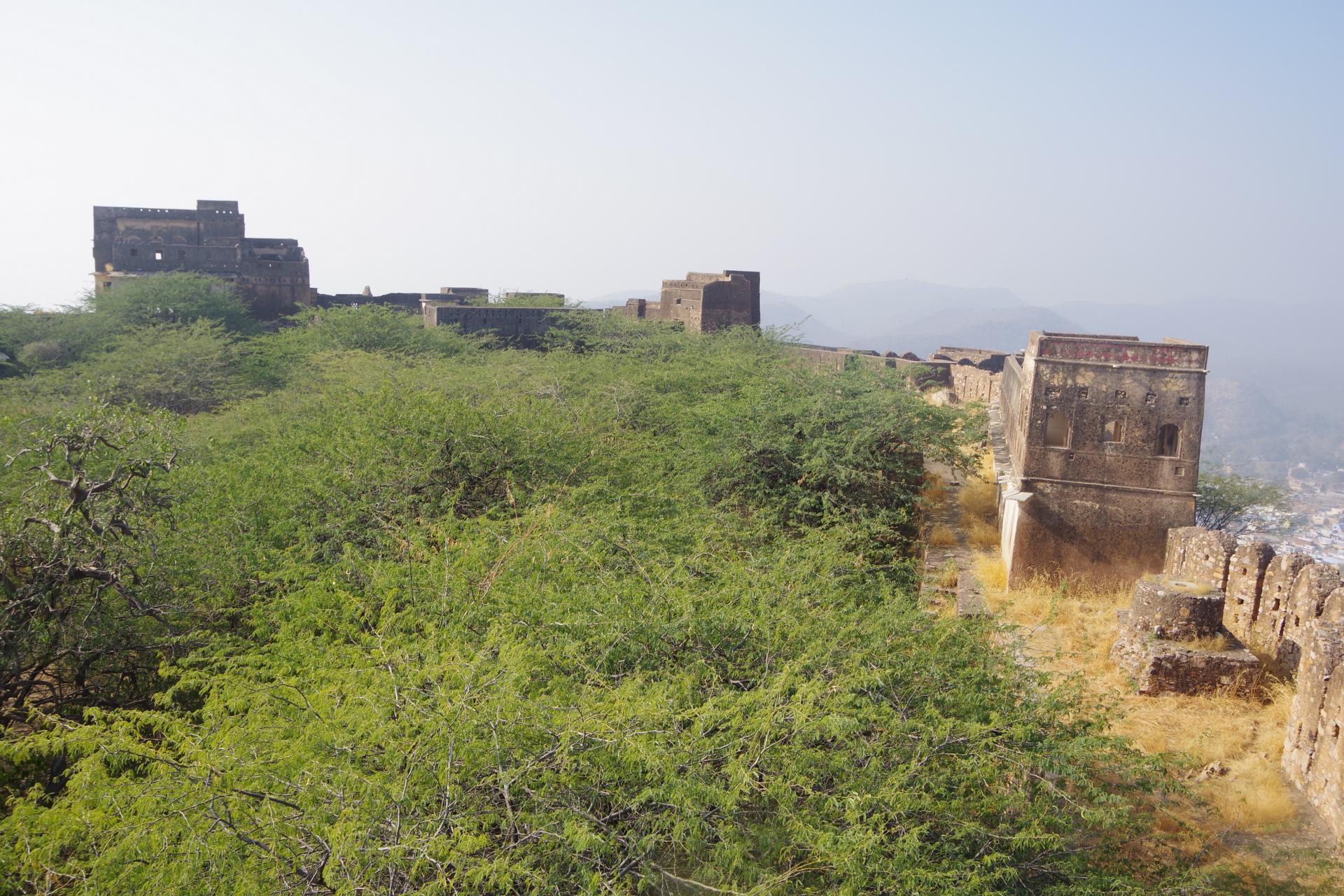 Bundi Fort 3