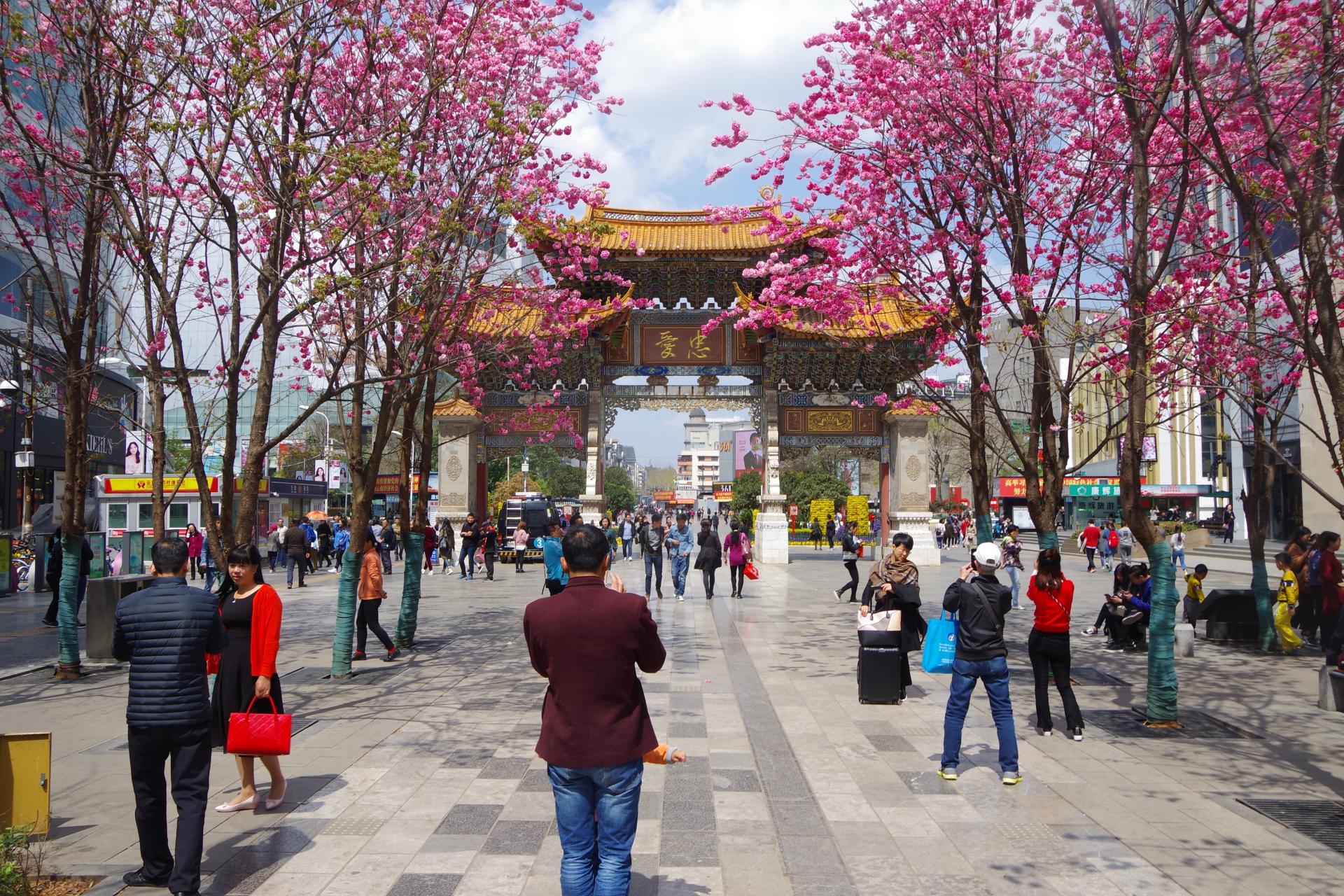 Zhengyi road kunming