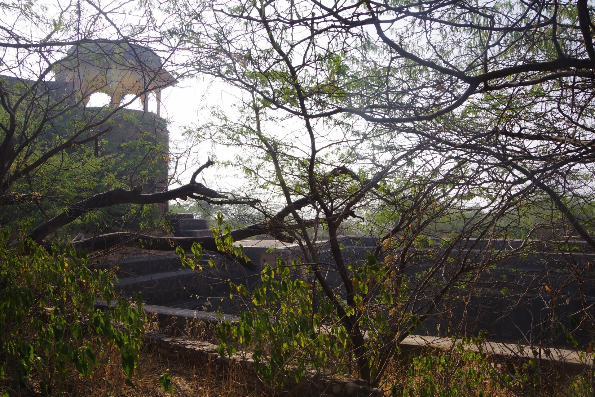 Bundi Fort 5