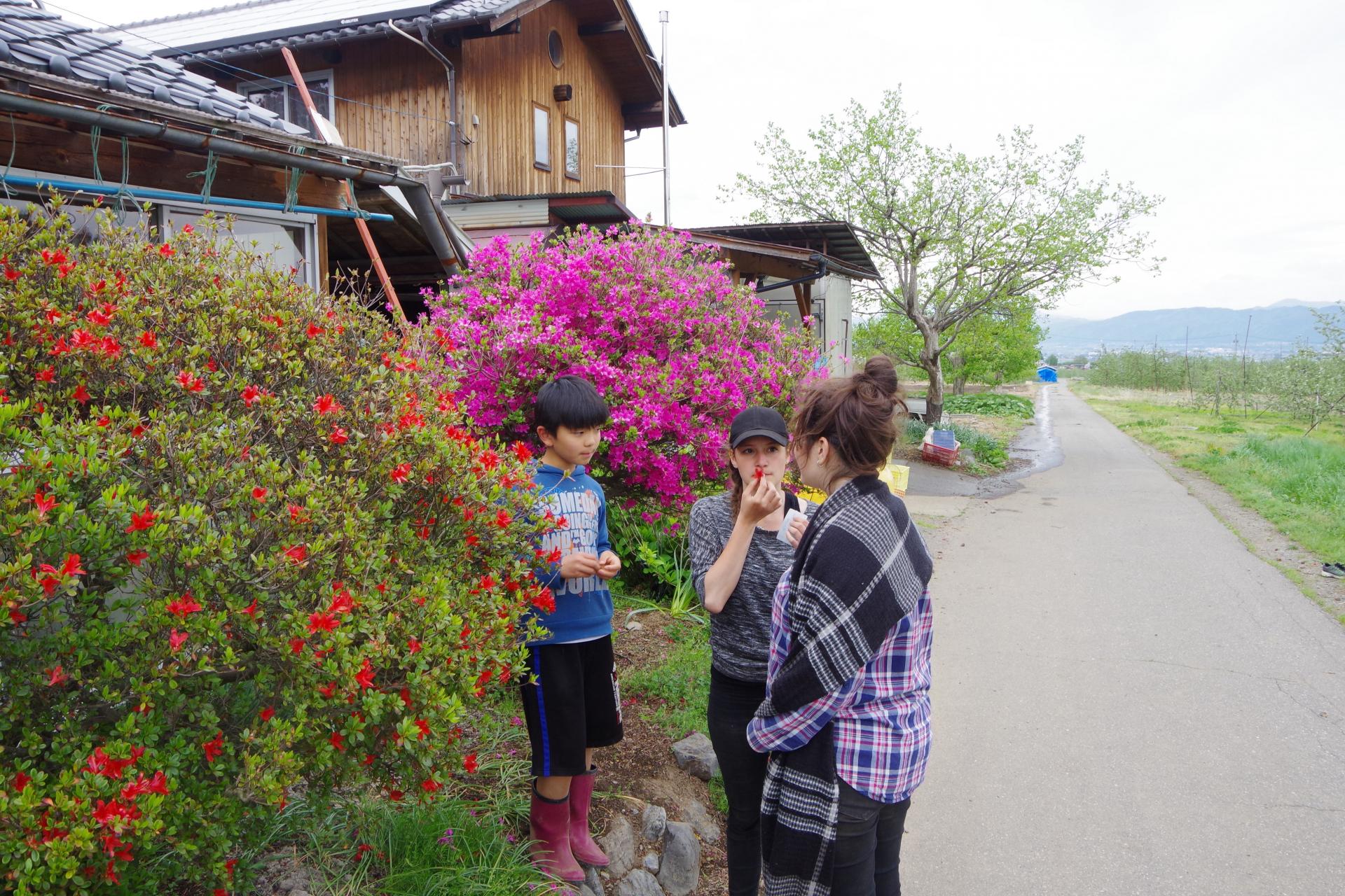 ogurayama farm