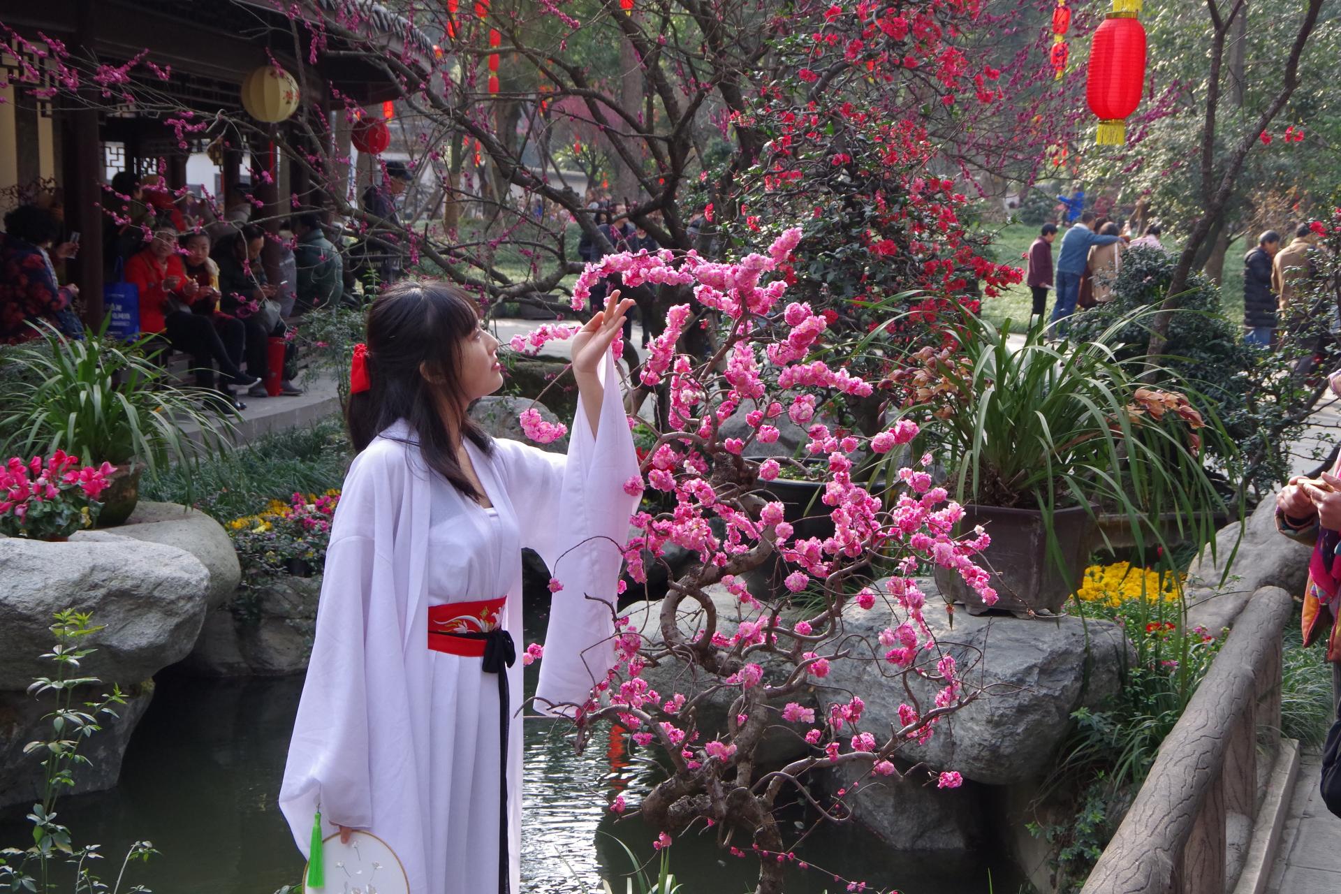 Du Fu Chengdu