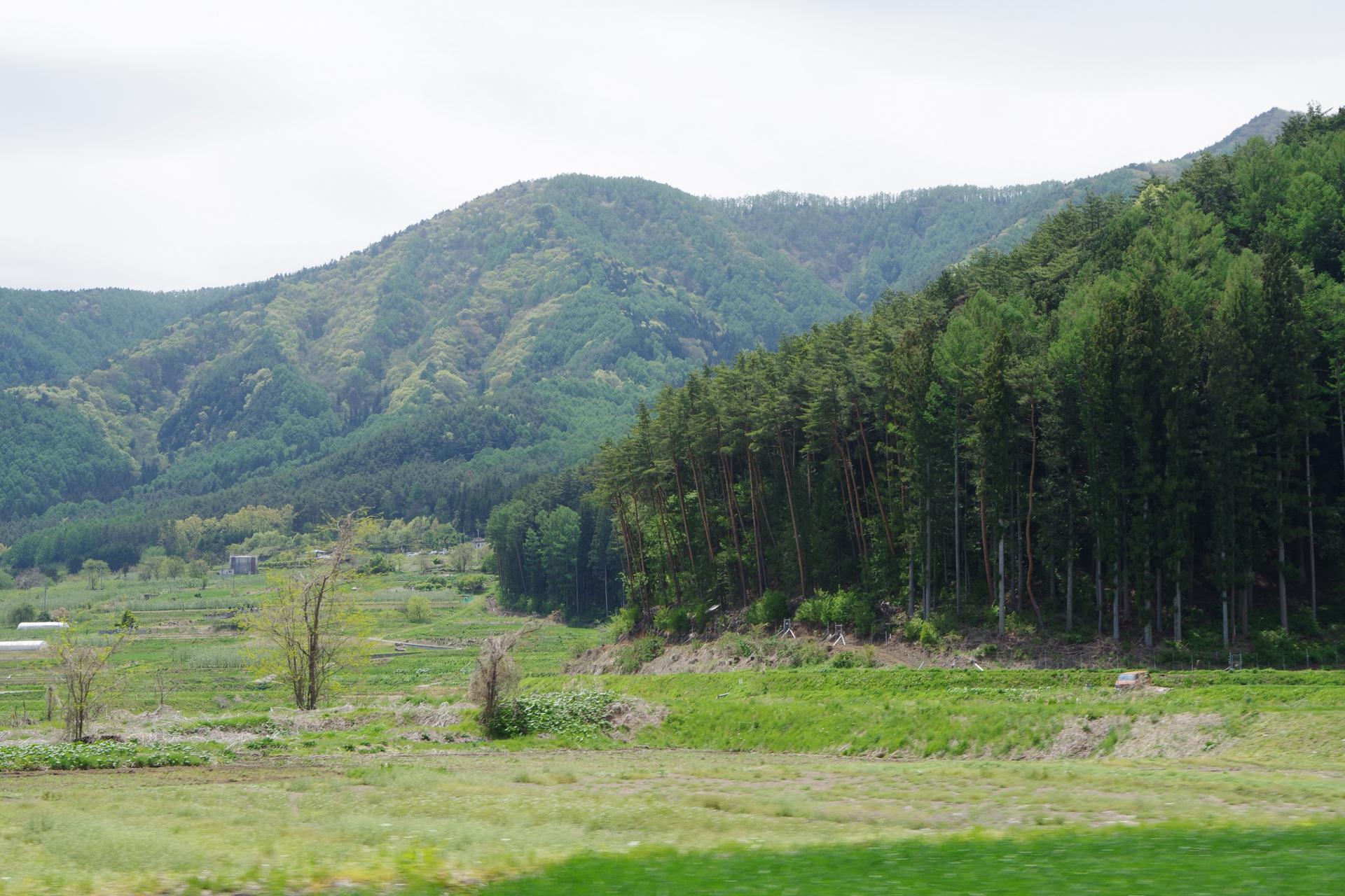 Azumino