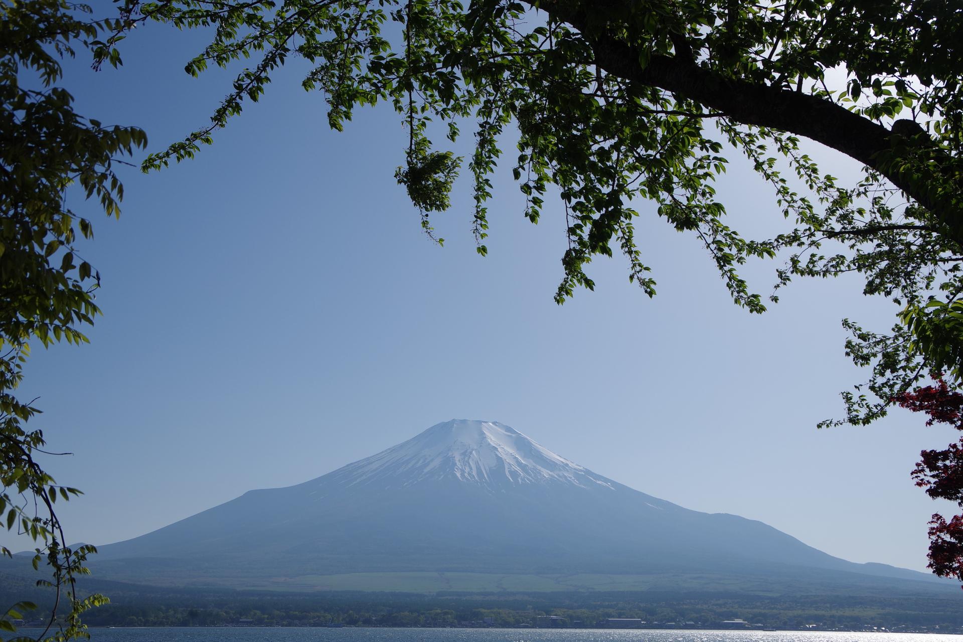 Yamanaka lake mt Fuji