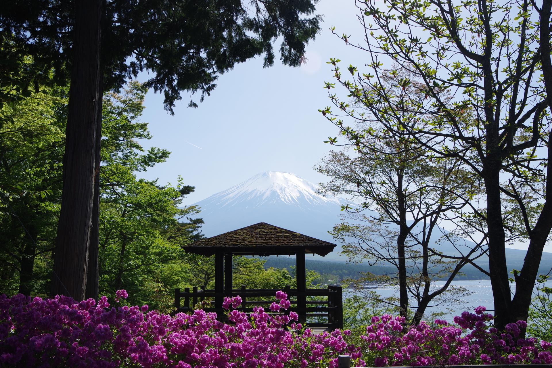 Mt Fuji