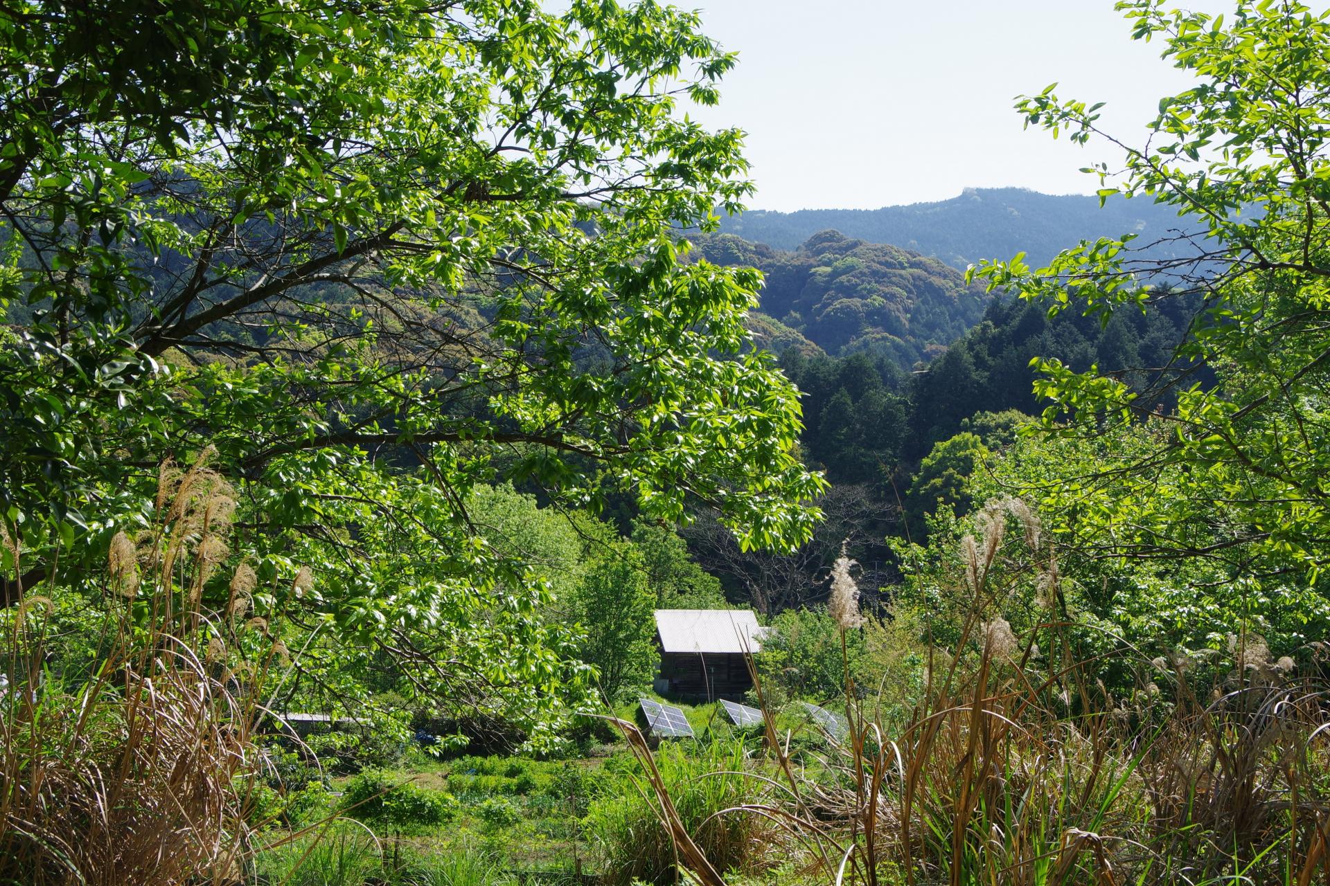 Kamiyamada farm