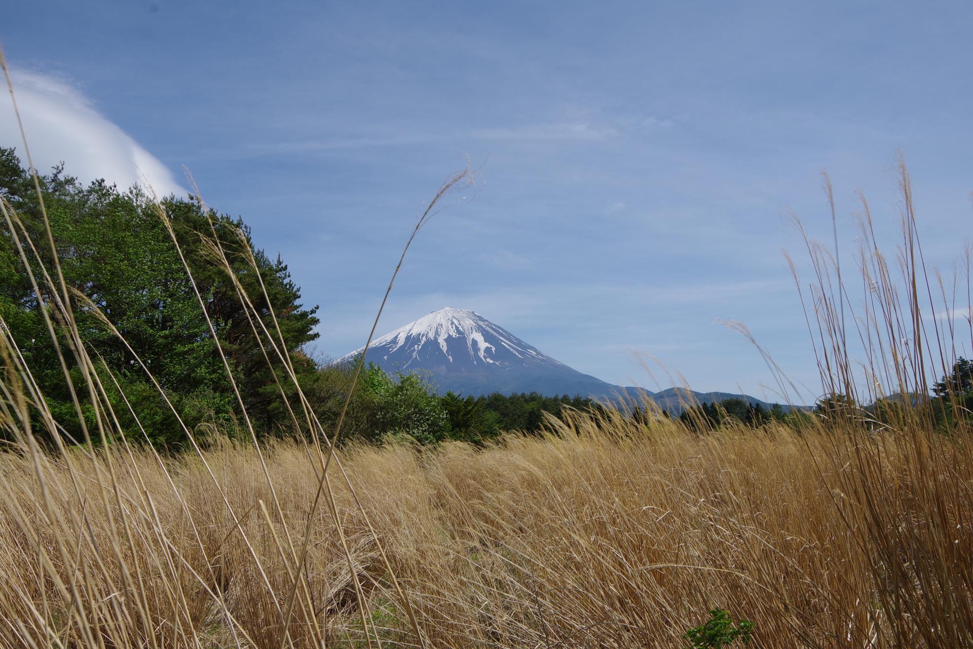 Kawaguchiko Mt Fuji
