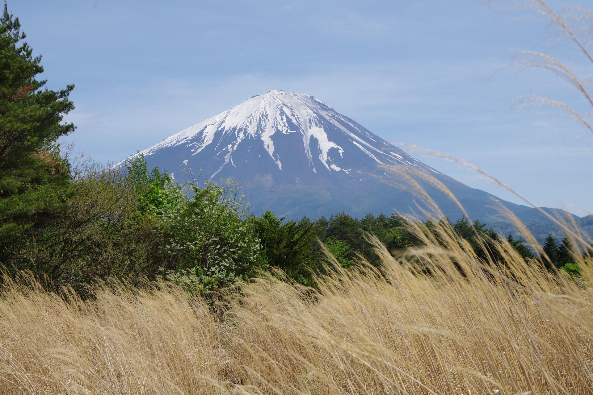 Kawaguchiko Mt Fuji