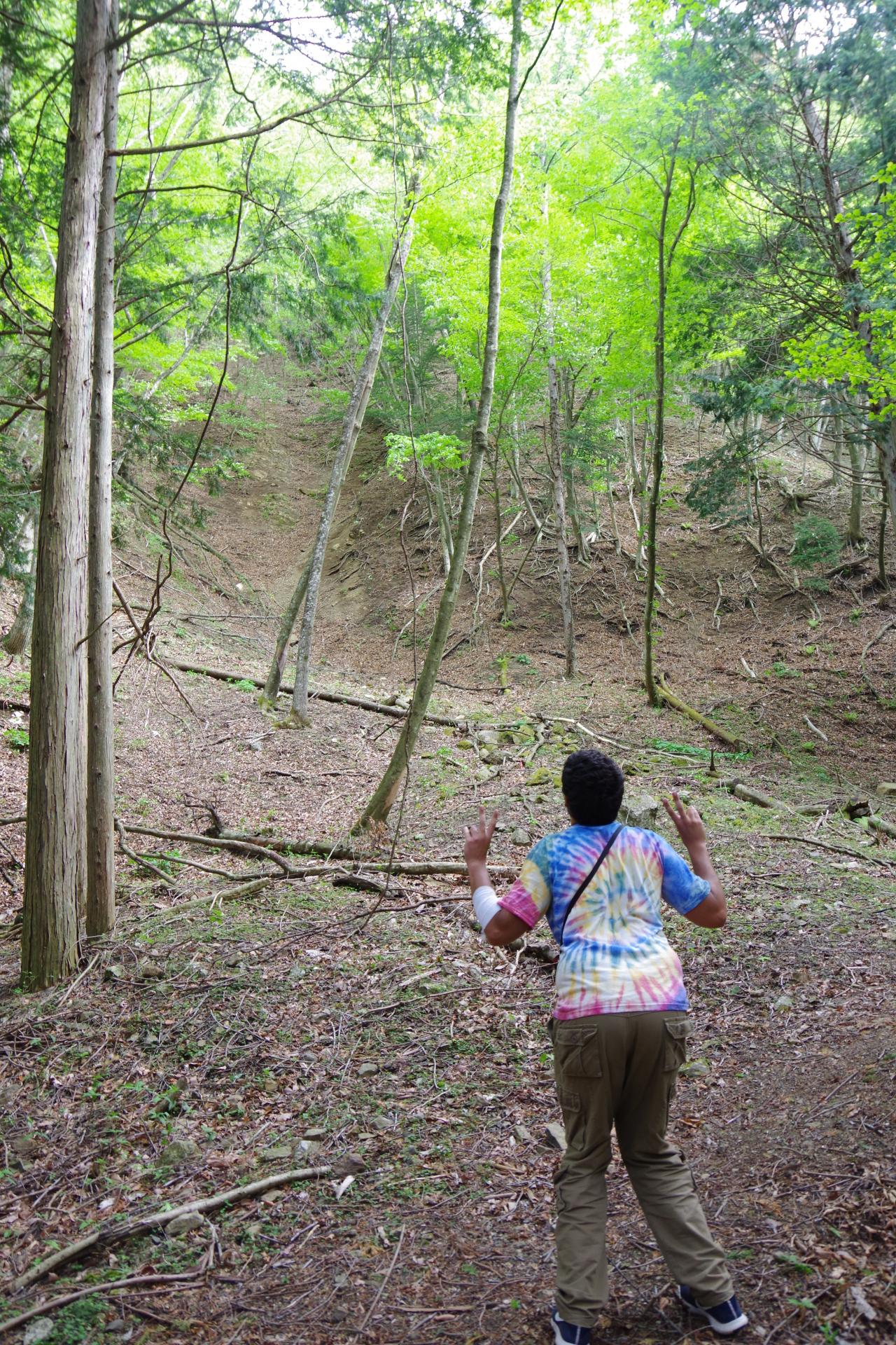 Aokigahara
