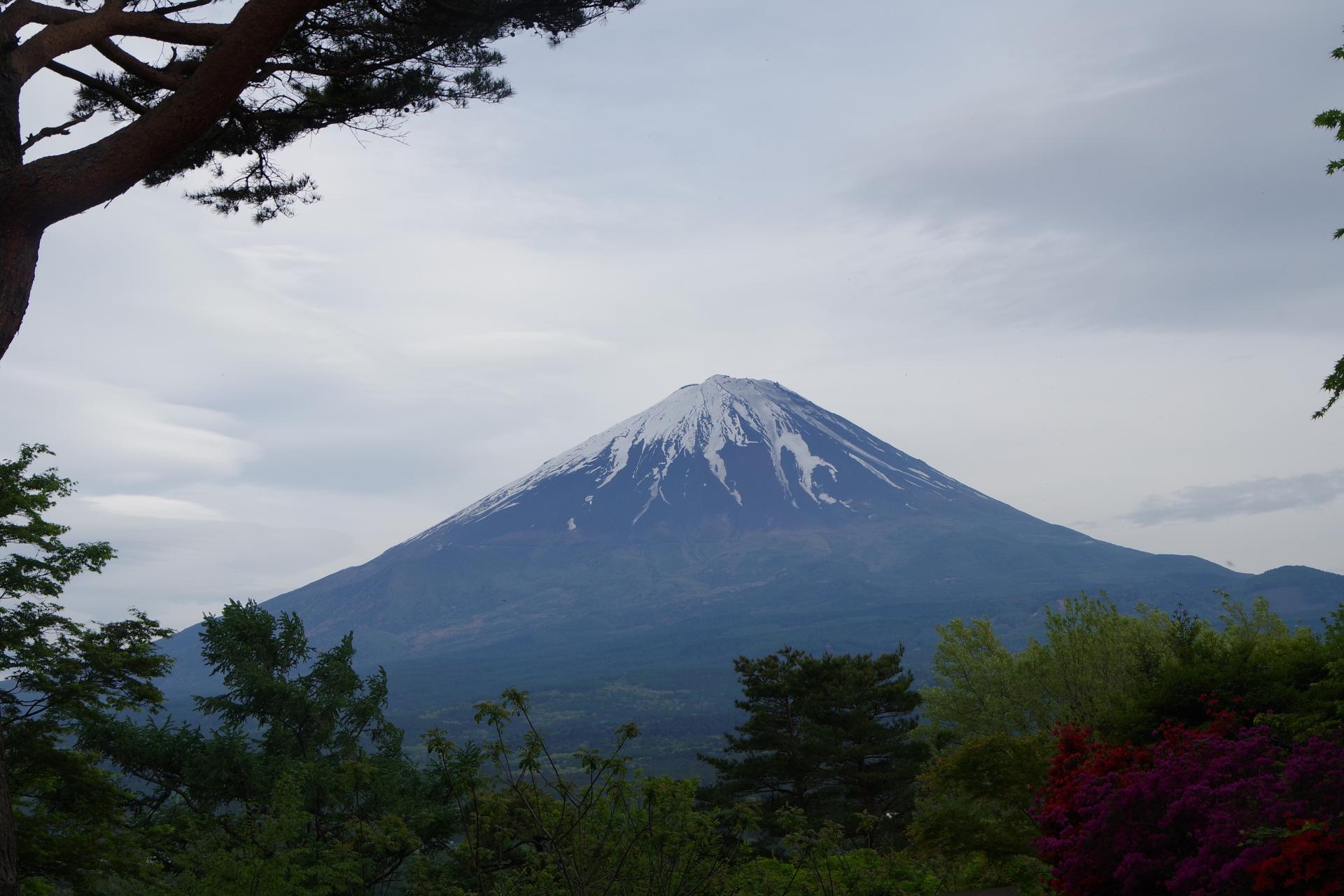 Aokigahara Fuji