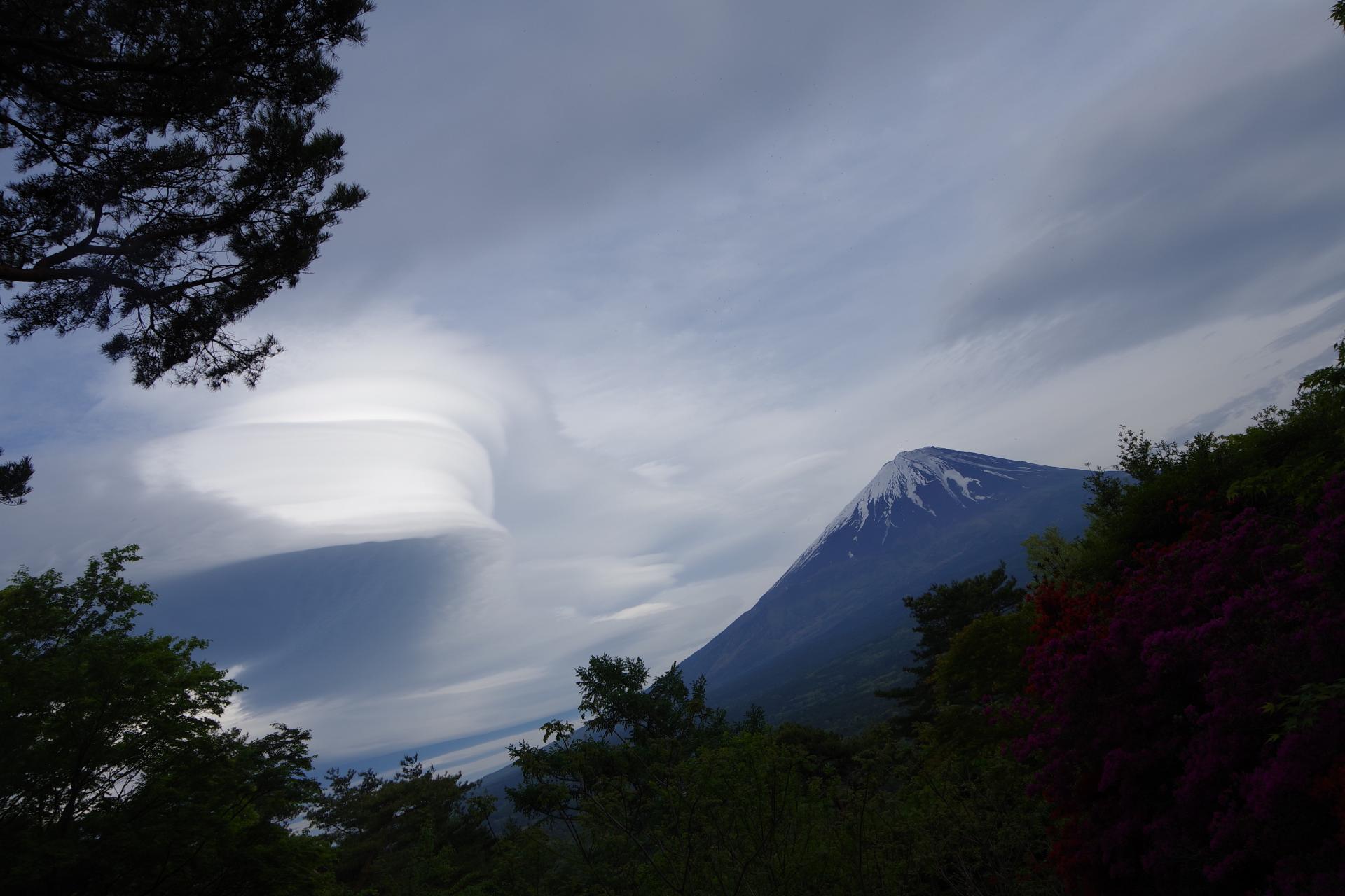 Aokigahara Fuji