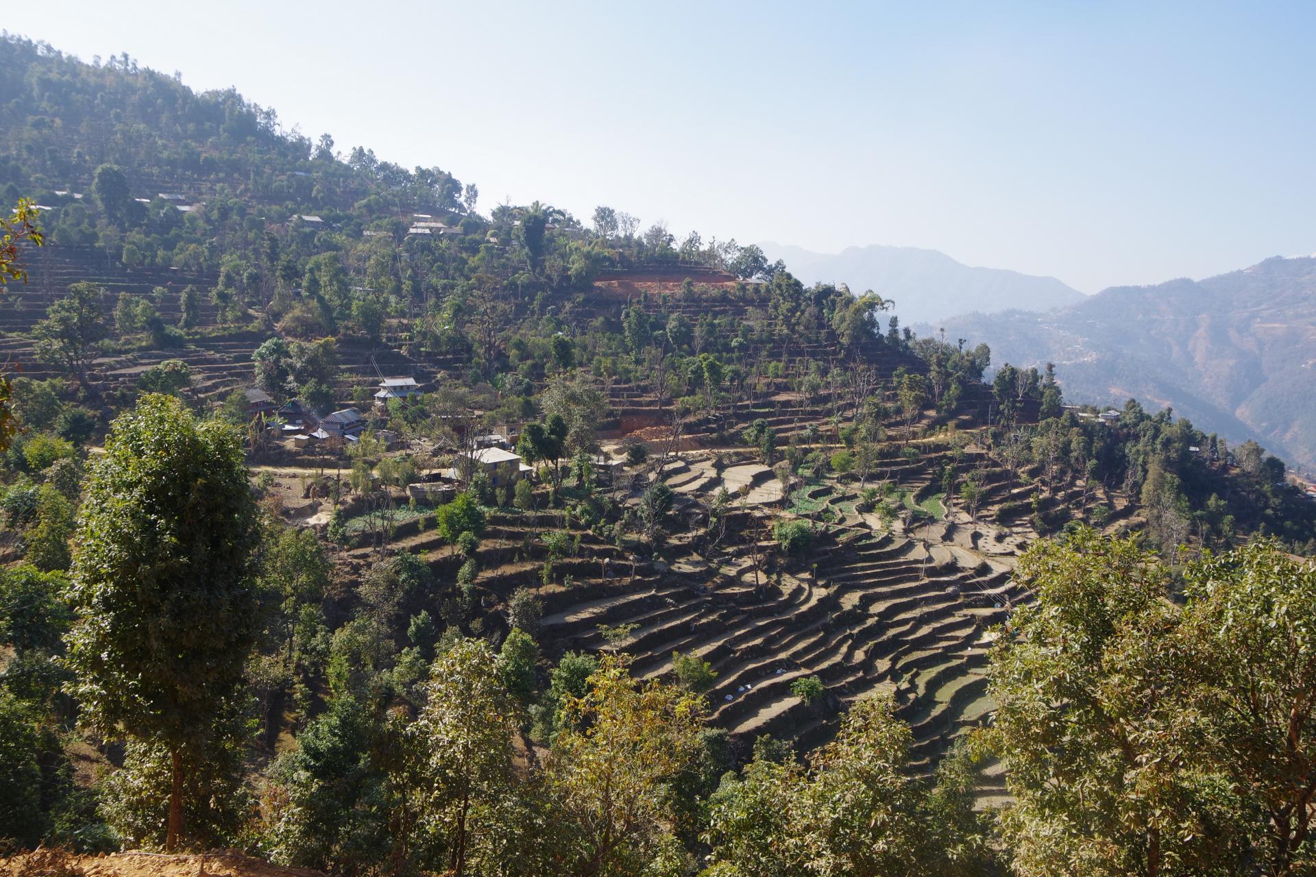 Patiswara