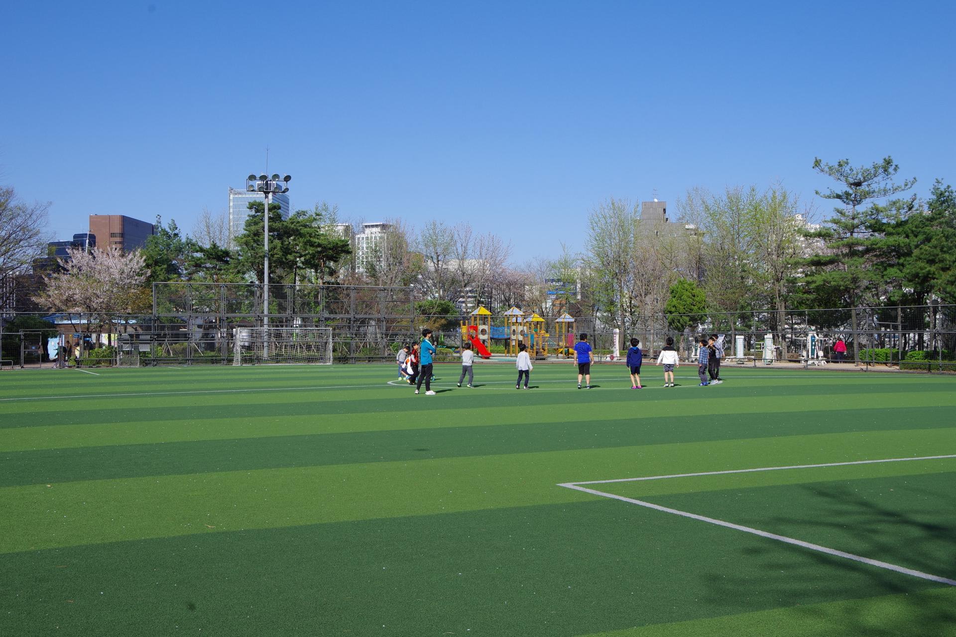 Football field