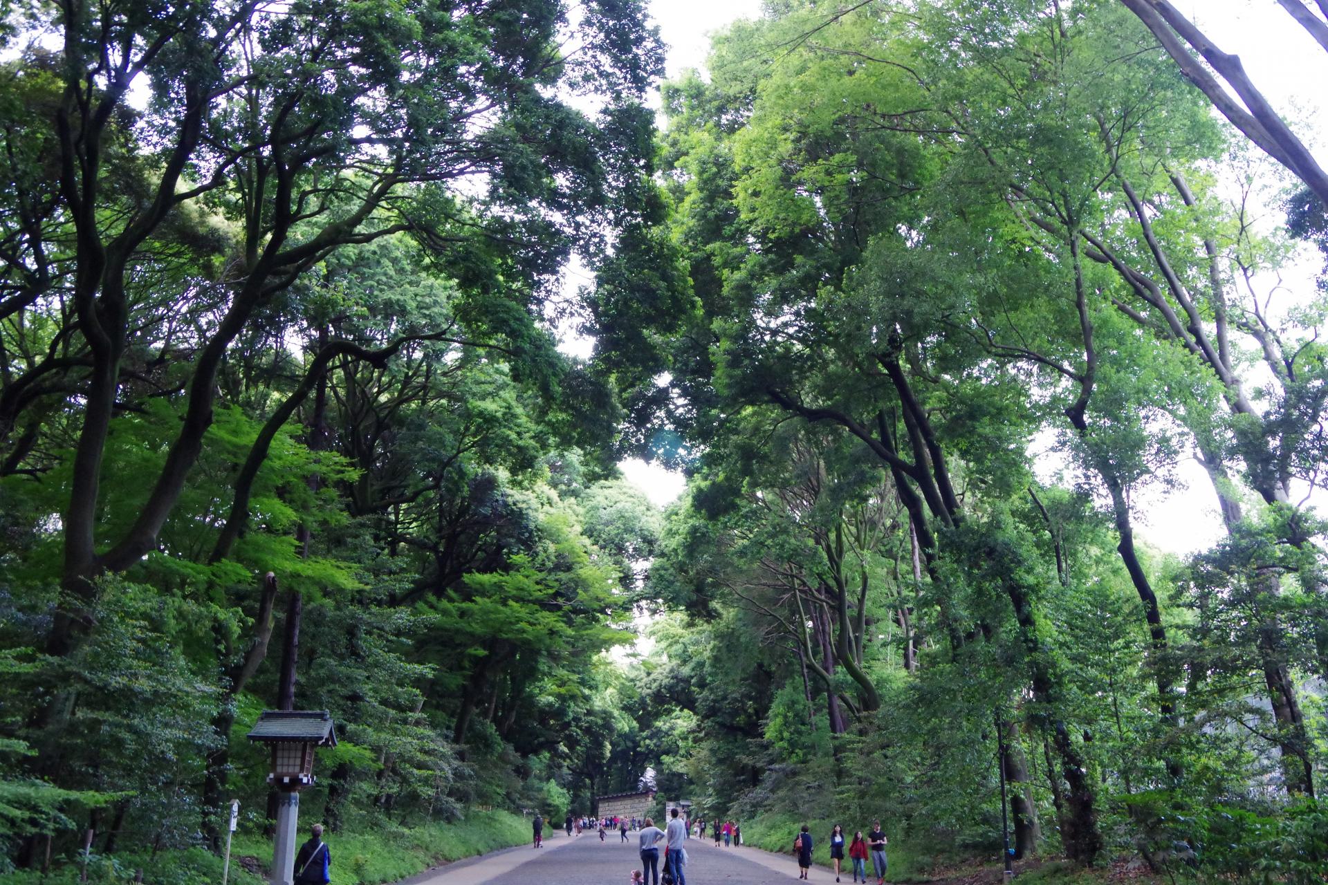 Yoyogi park Tokyo