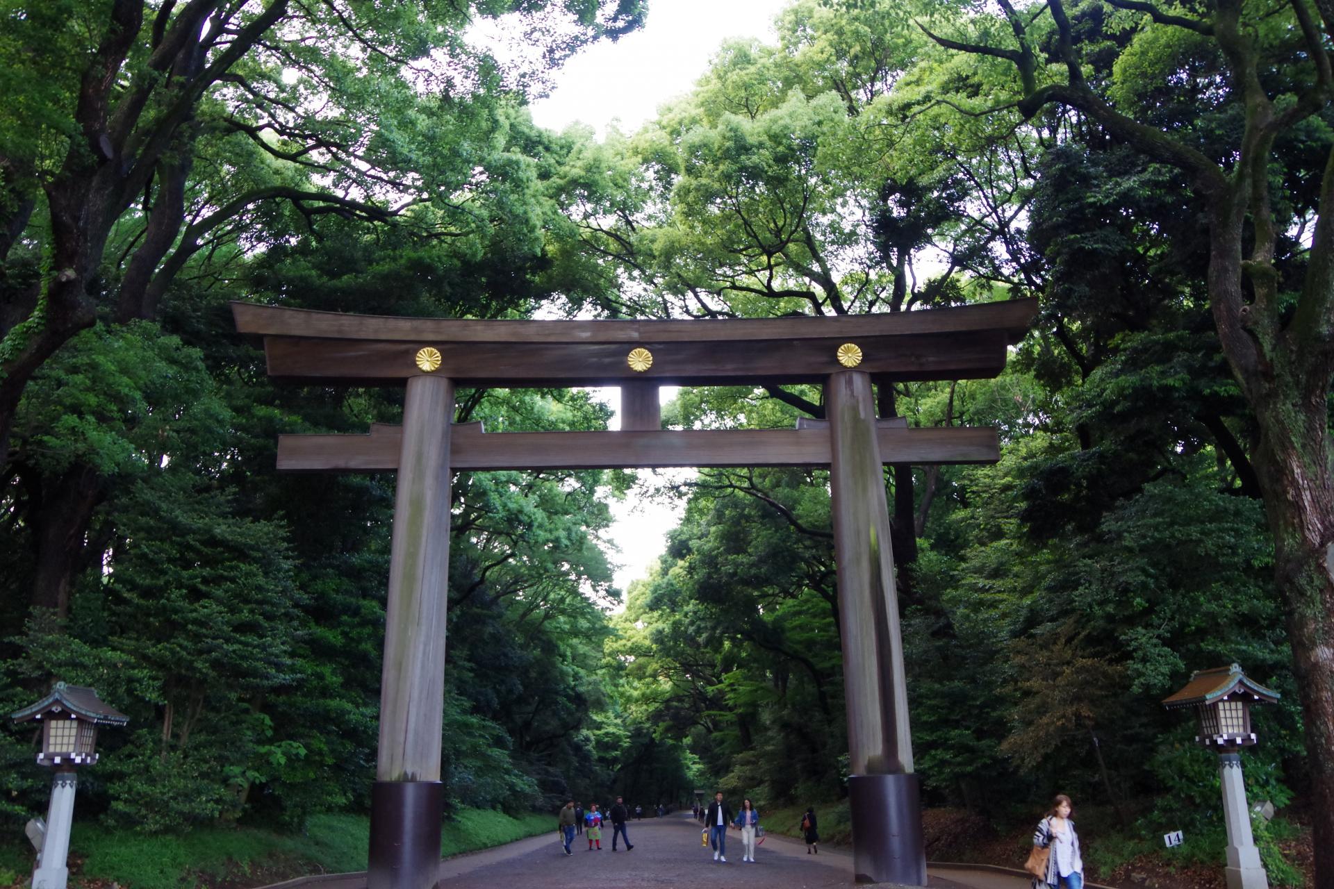 Yoyogi park Tokyo