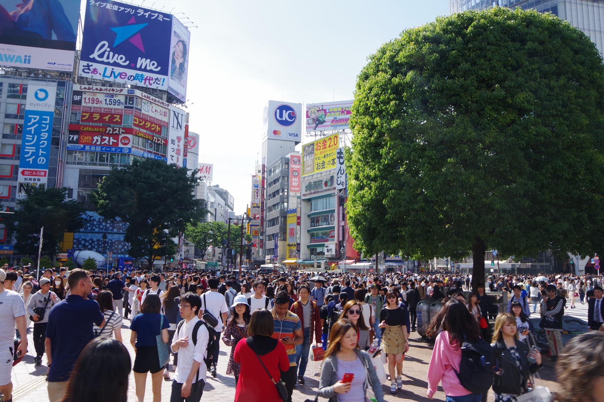 Shibuya Crossing Tokyo