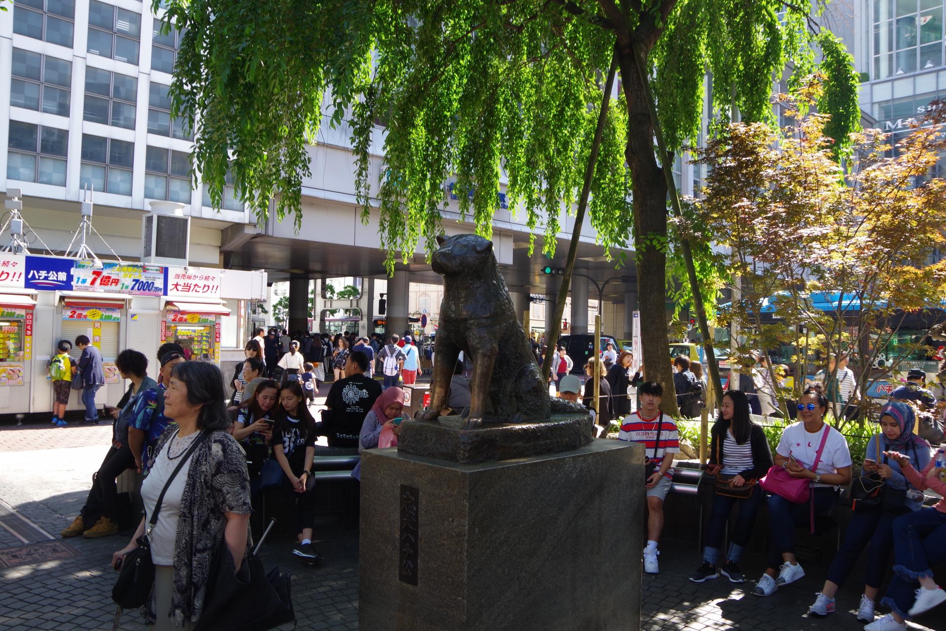 Shibuya Station