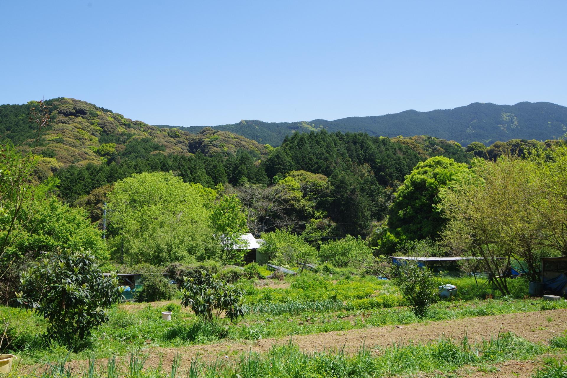 Kamiyamada farm