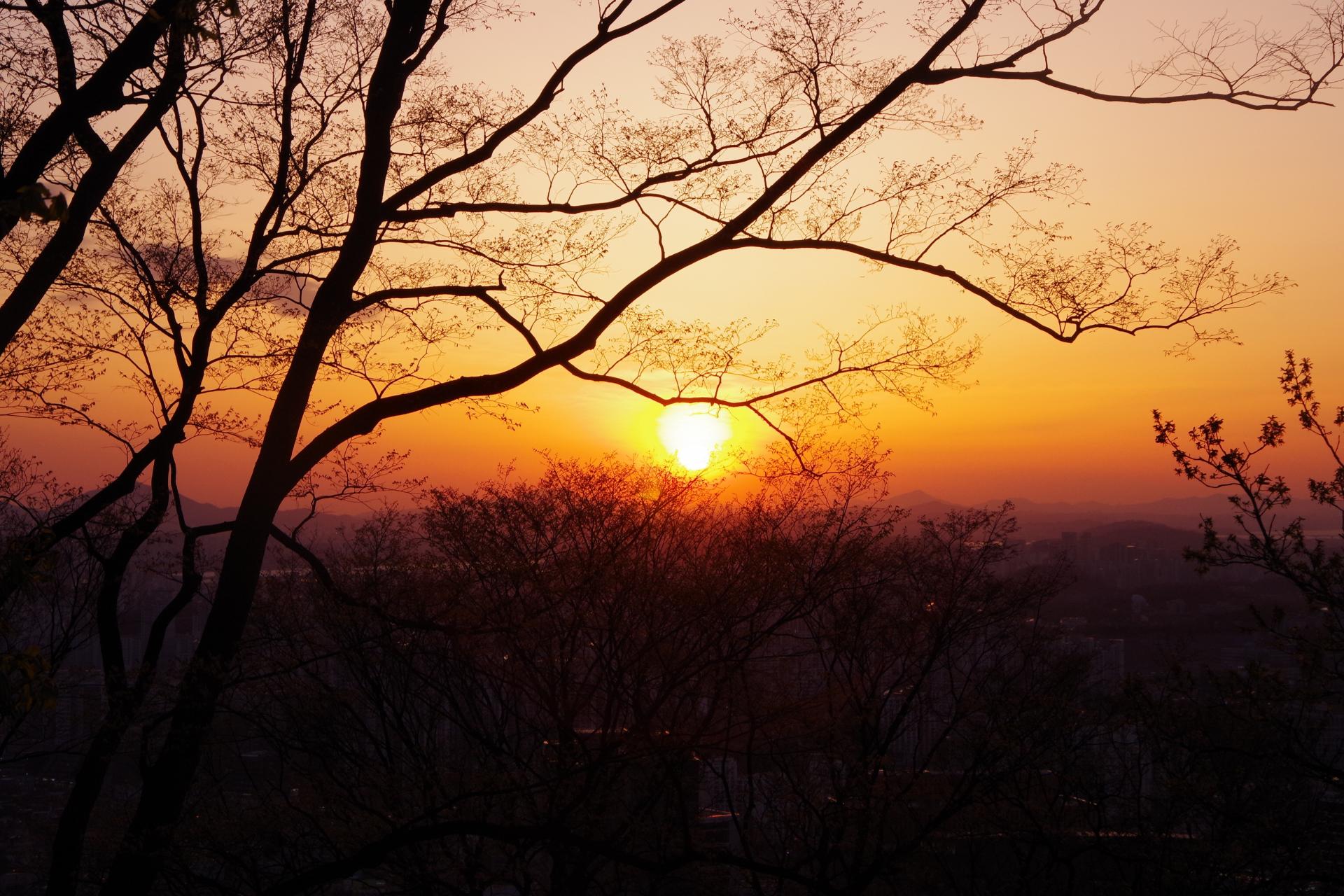 Seoul Tower