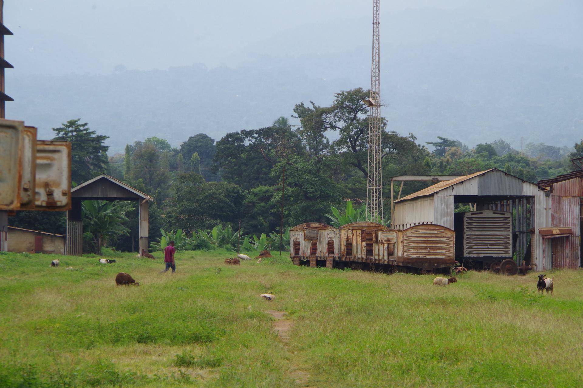 Usambara Railway