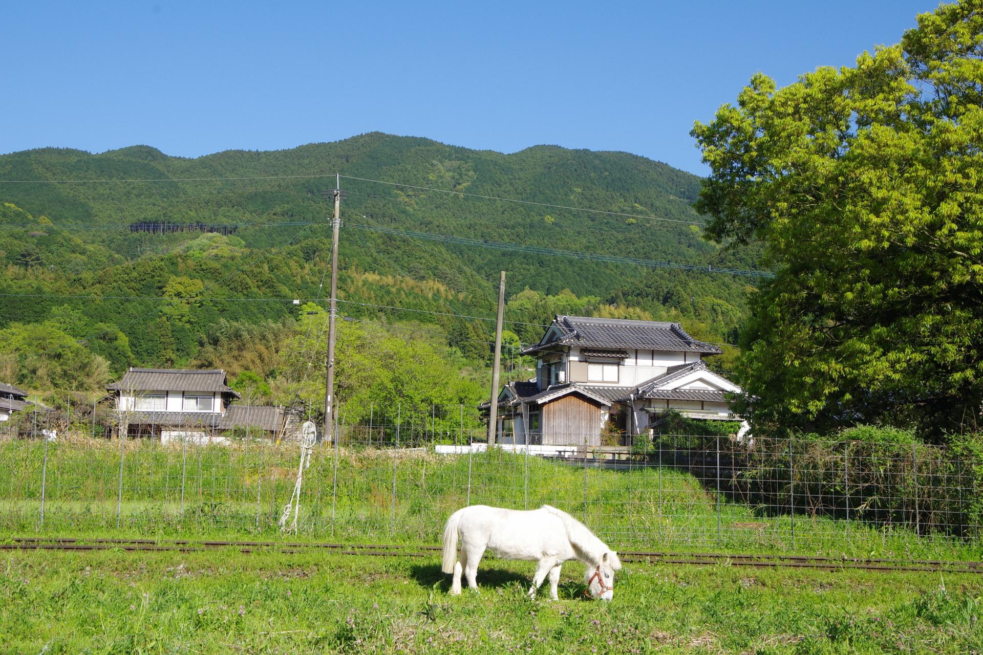 Kama city