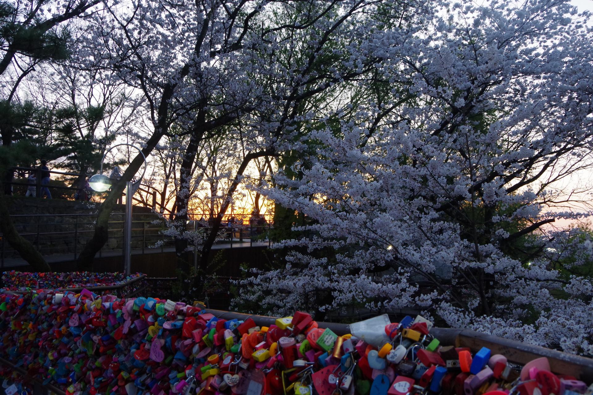 Seoul Tower