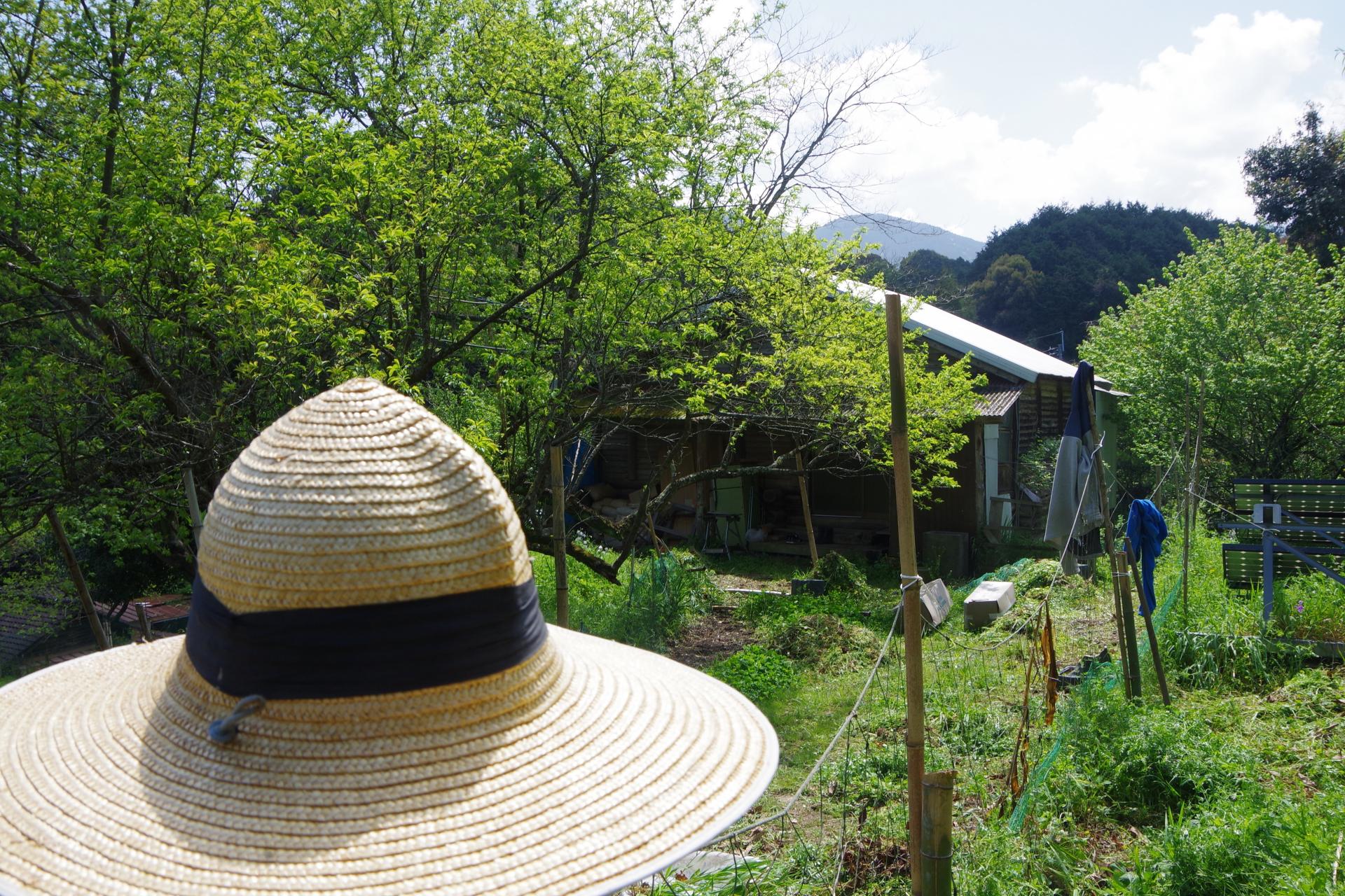 Chapeau de paille