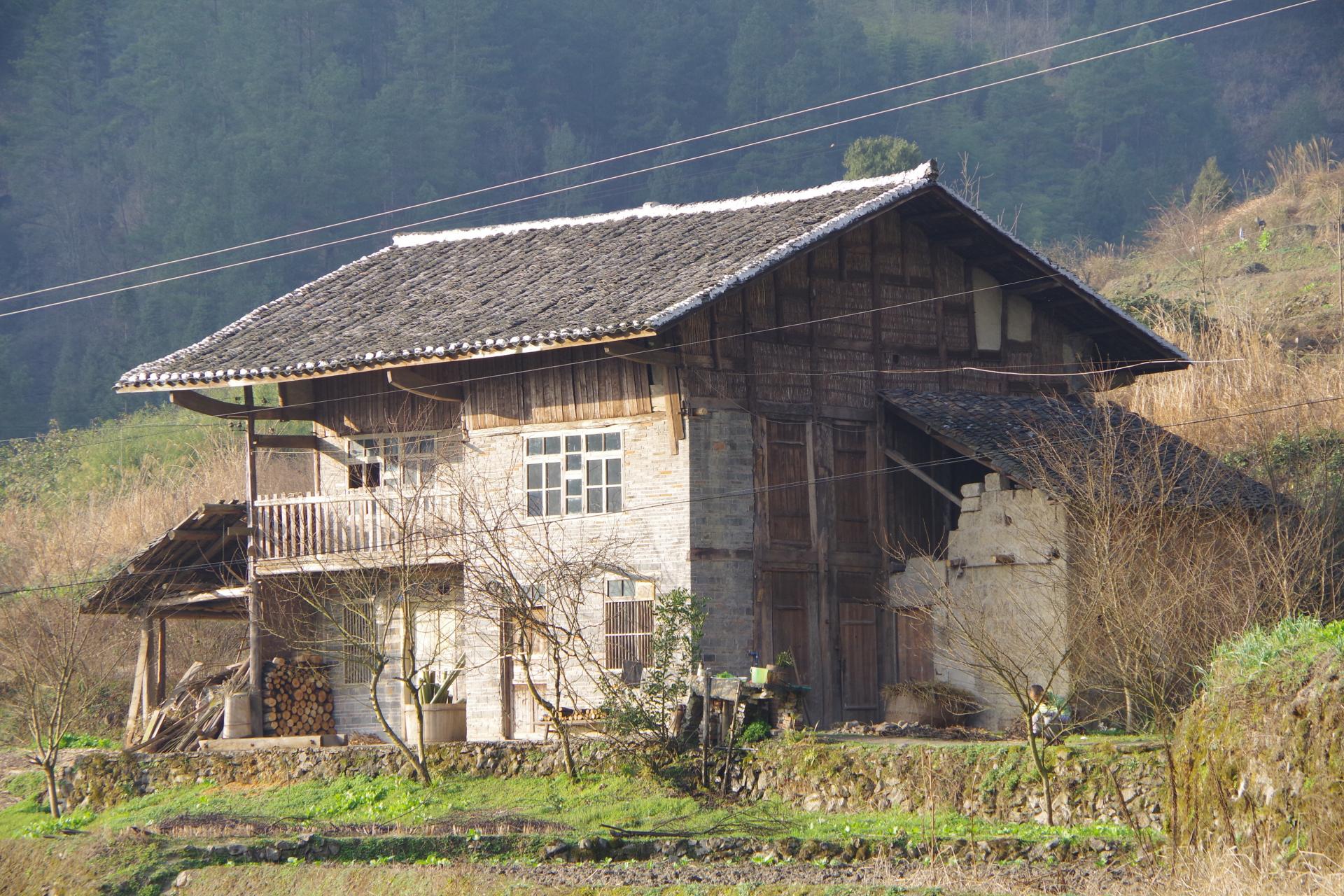 Yang House
