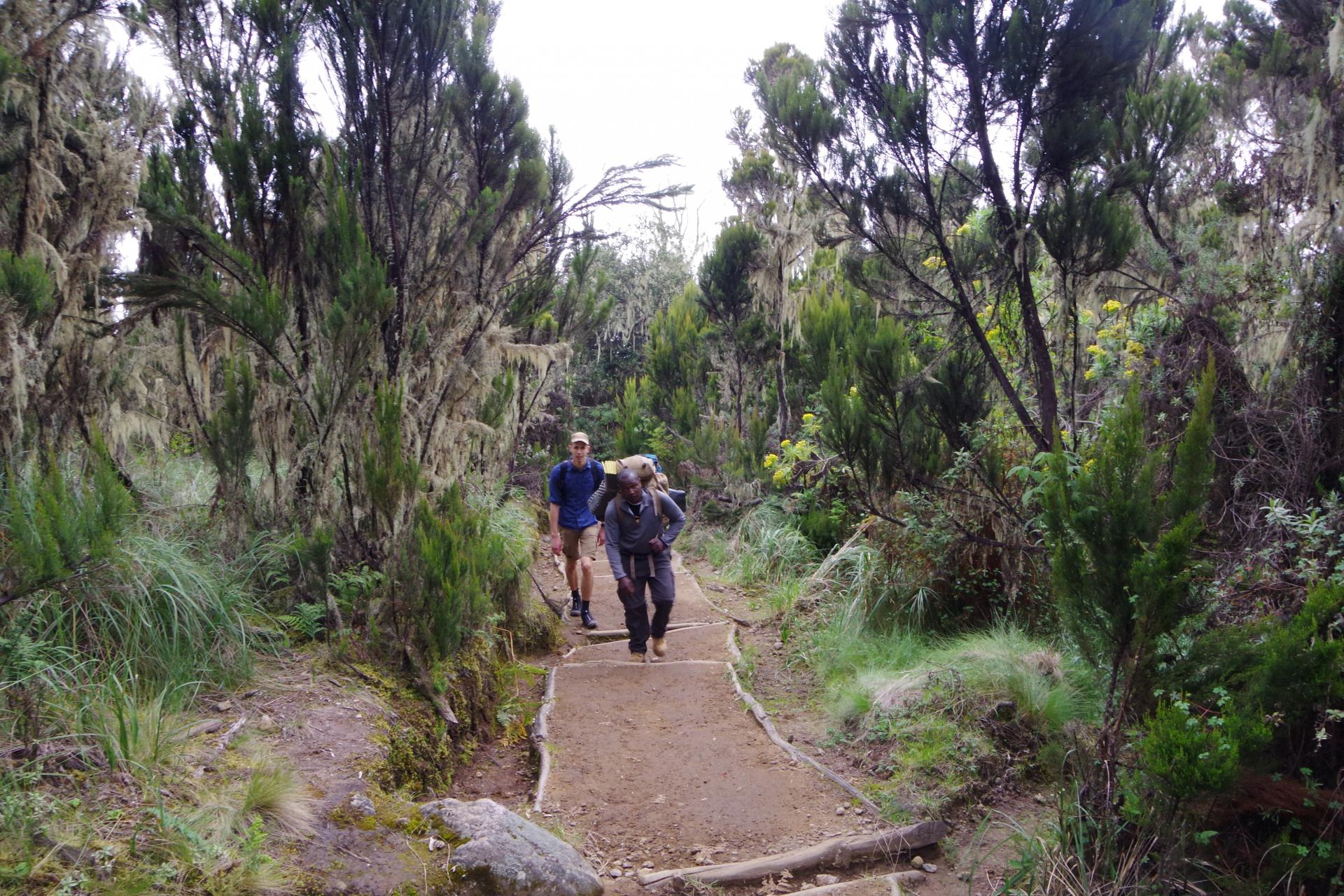 Machame trail