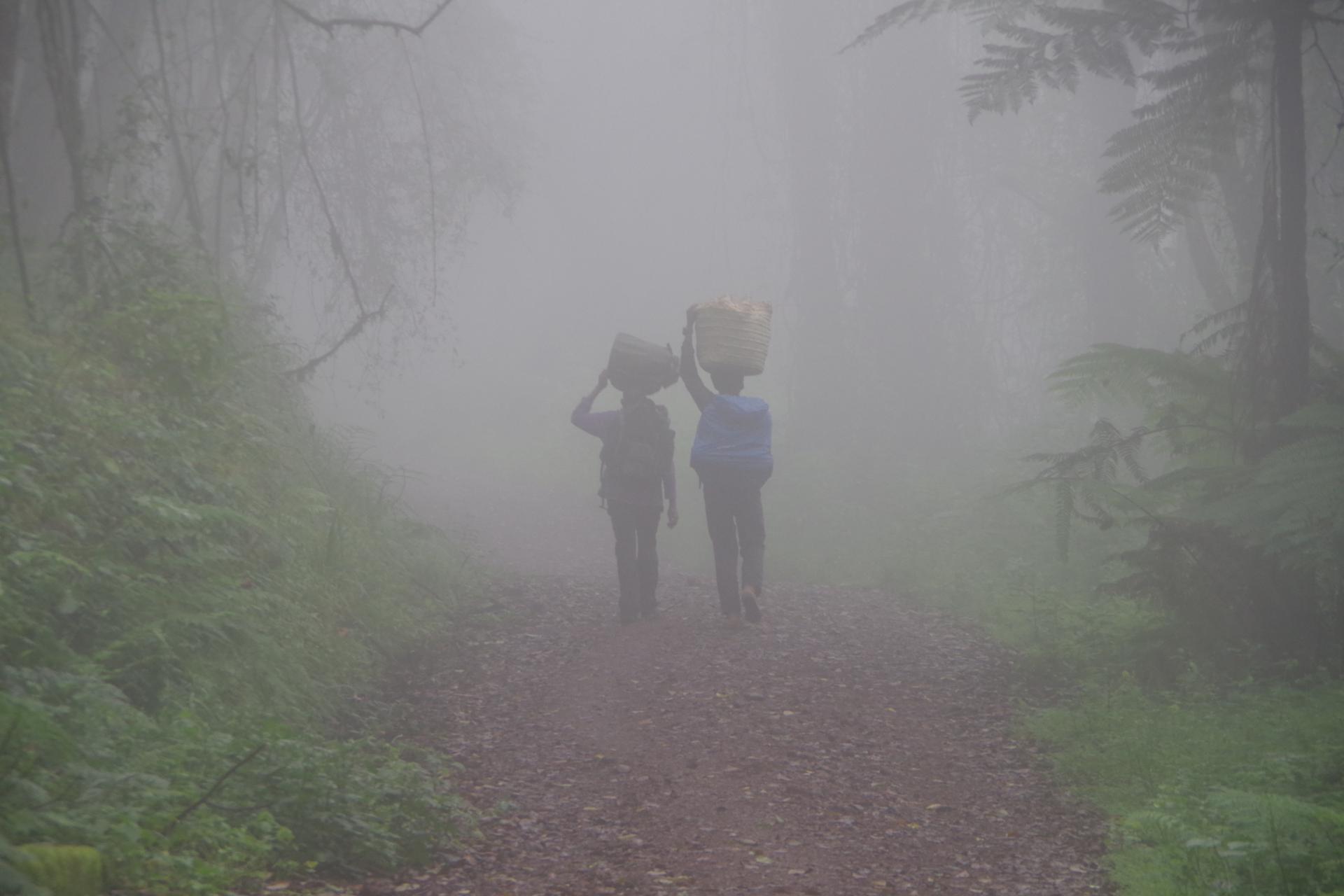 Porteurs sur le Machame trail