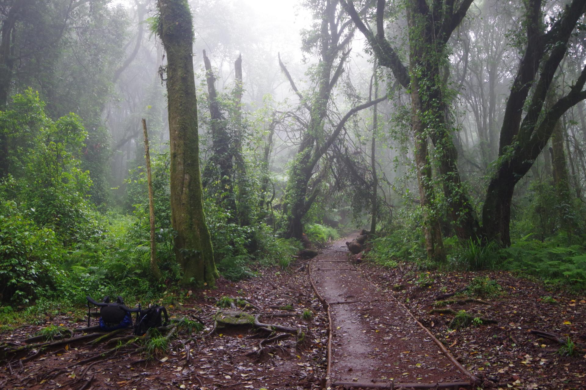 Machame trail