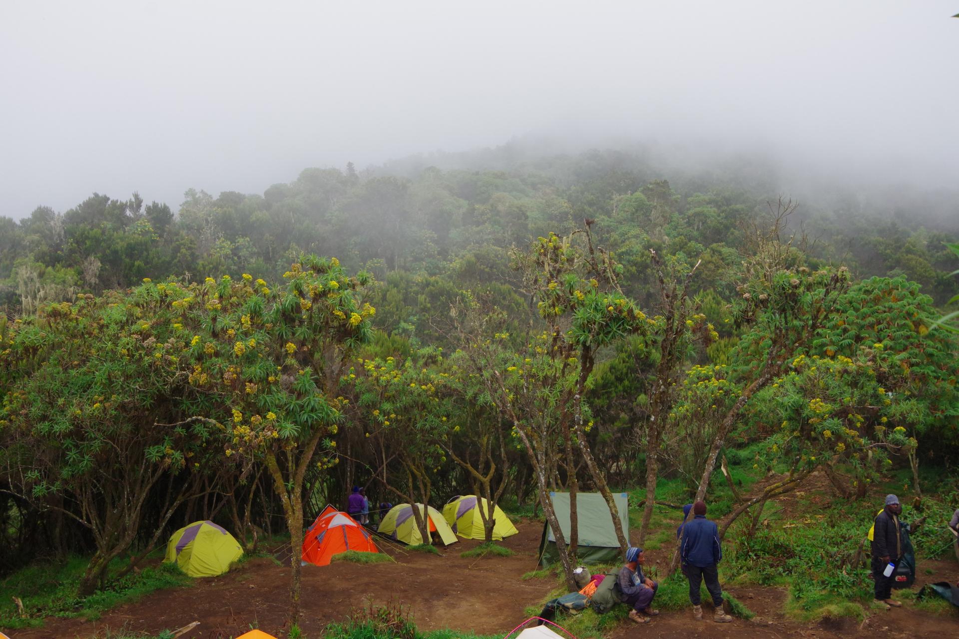 Machame Camp
