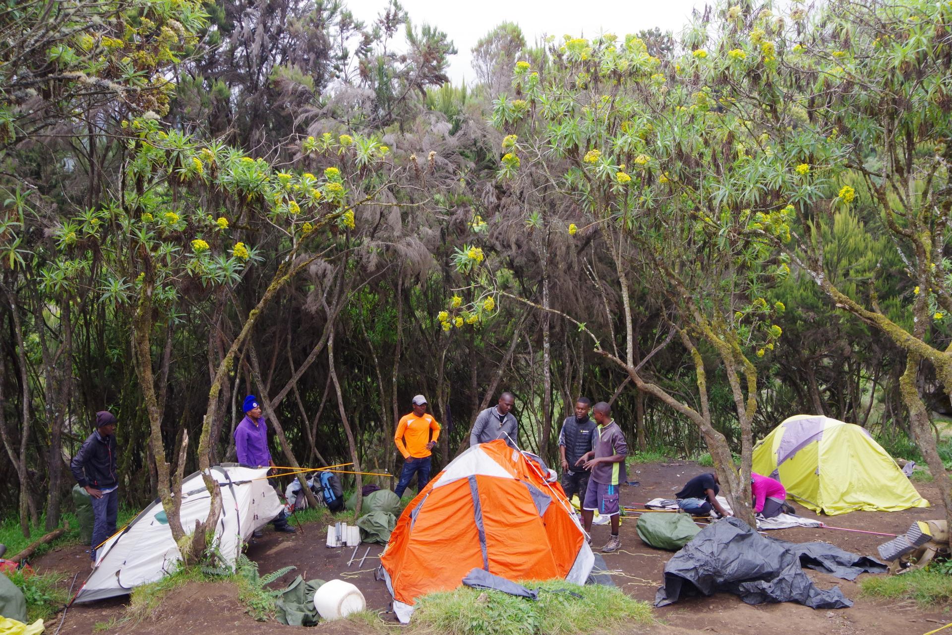 Machame Camp