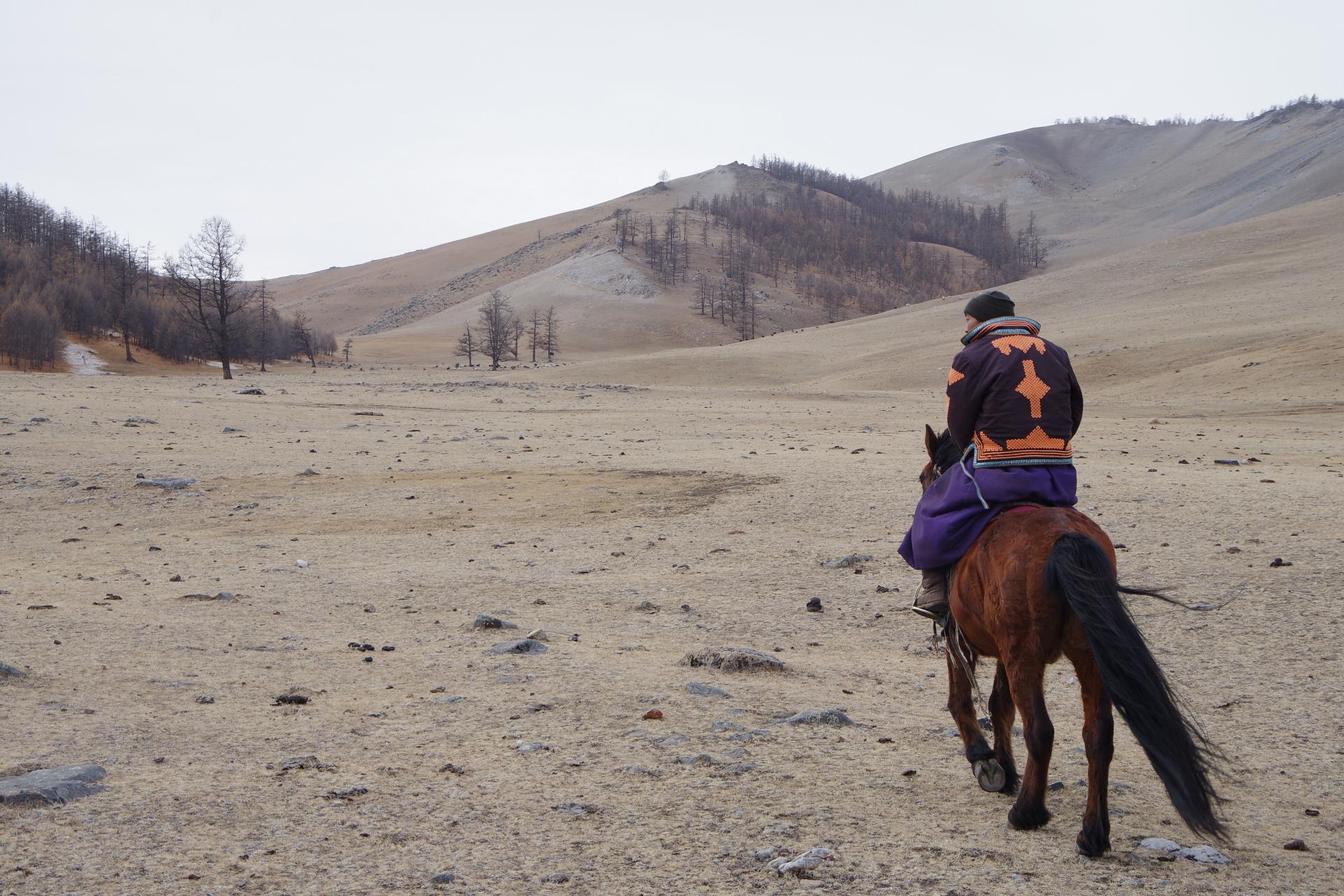 Mongolian sheperd