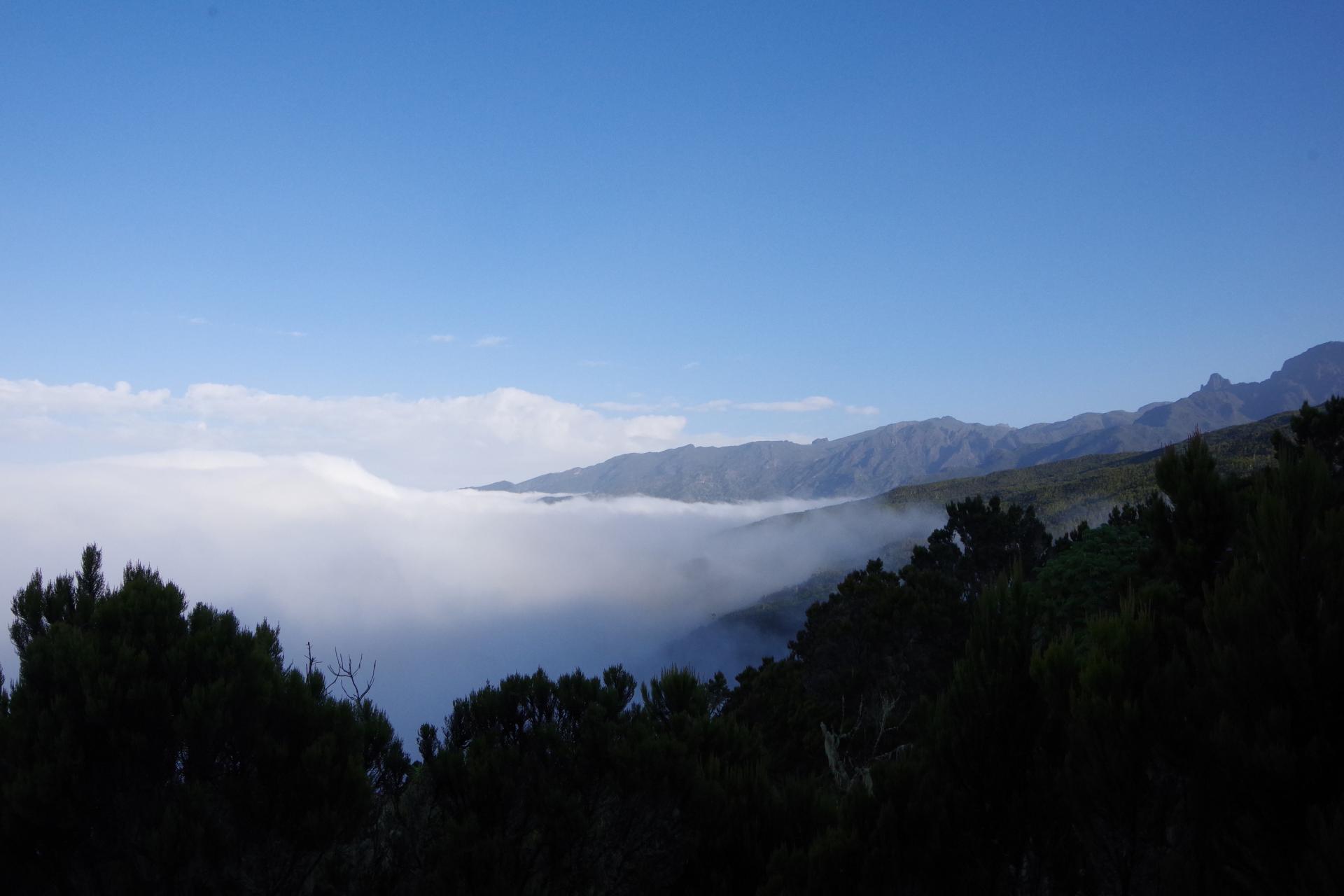 Shira Plateau