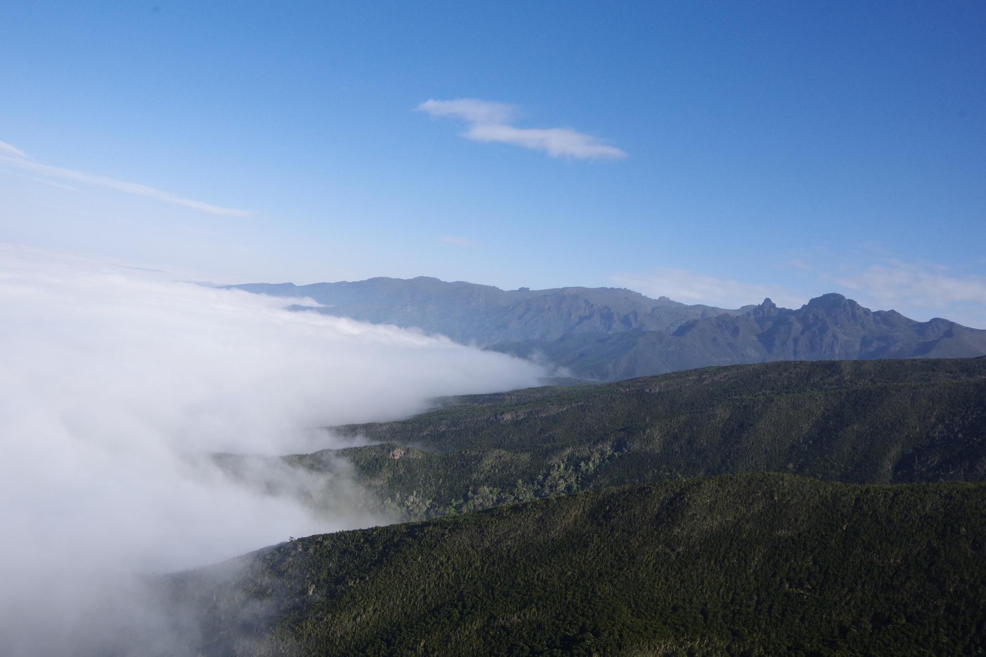 Shira Plateau